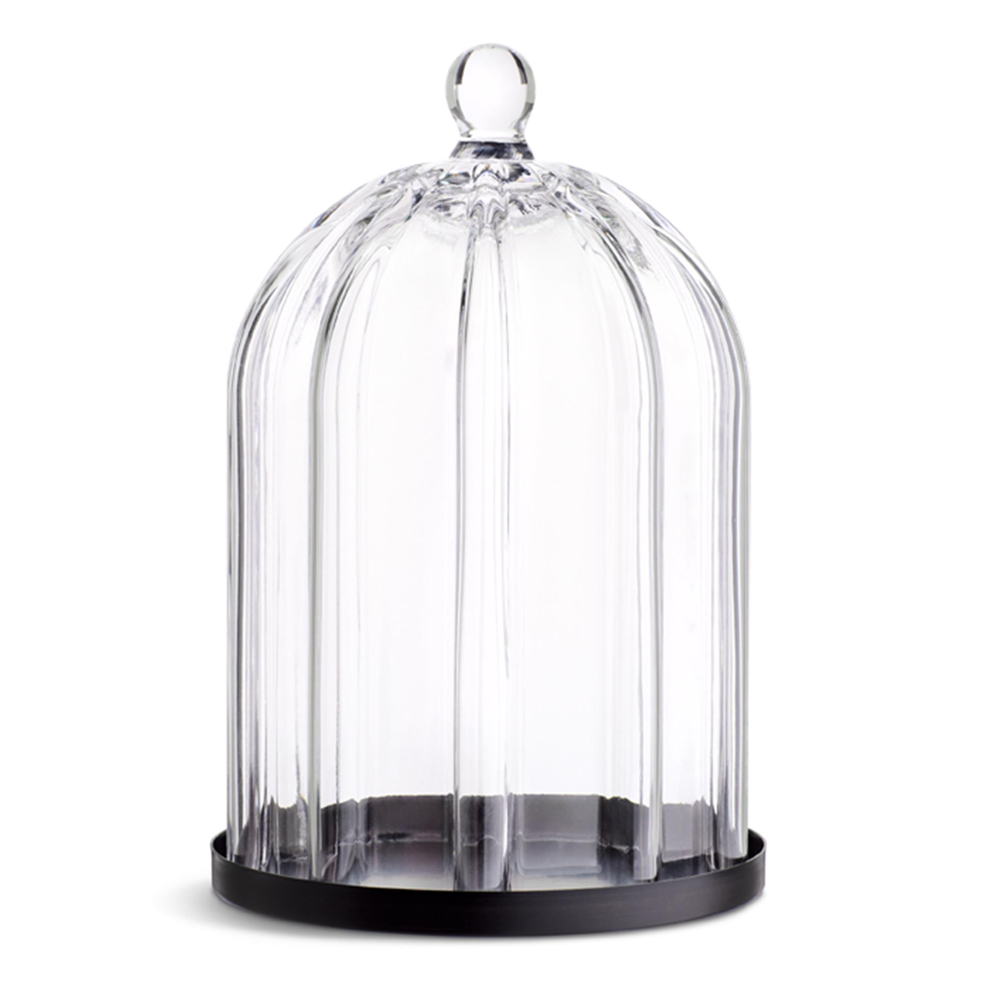 Habitat Luxe Ribbed Glass Cloche