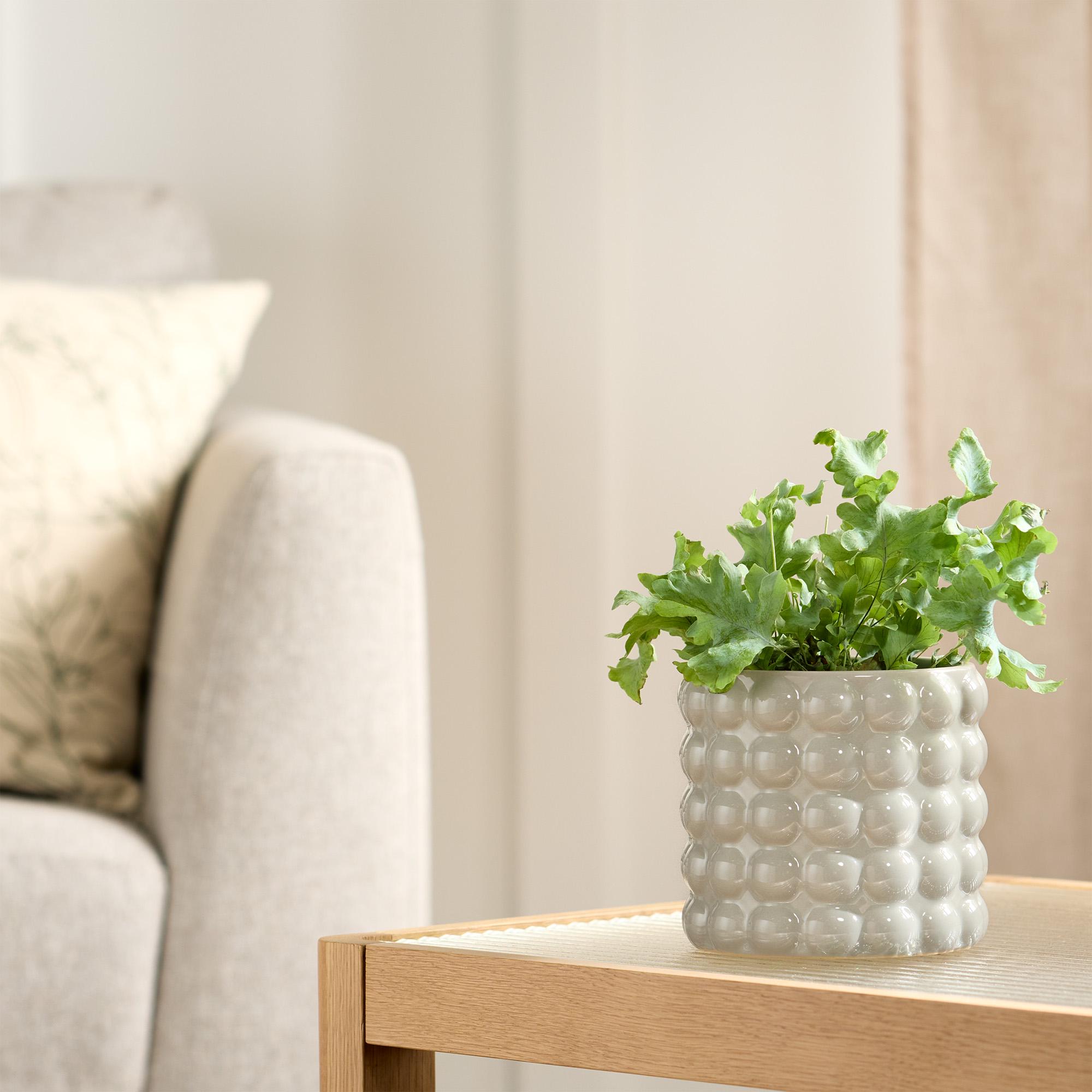 Habitat Stoneware Bobble Medium Planter