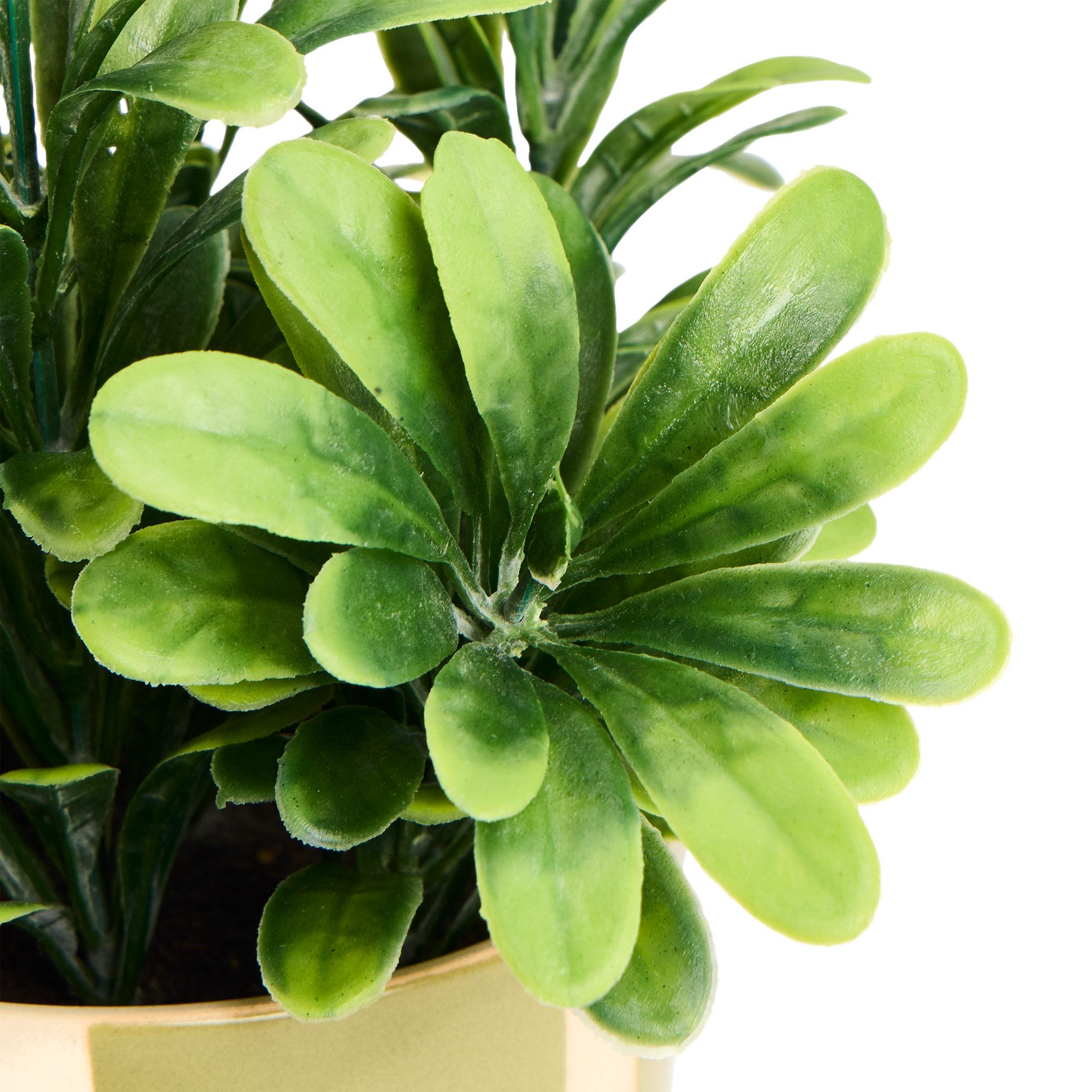 Sainsbury's Home Artificial Plant in Green Stripe Pot thumbnail 3