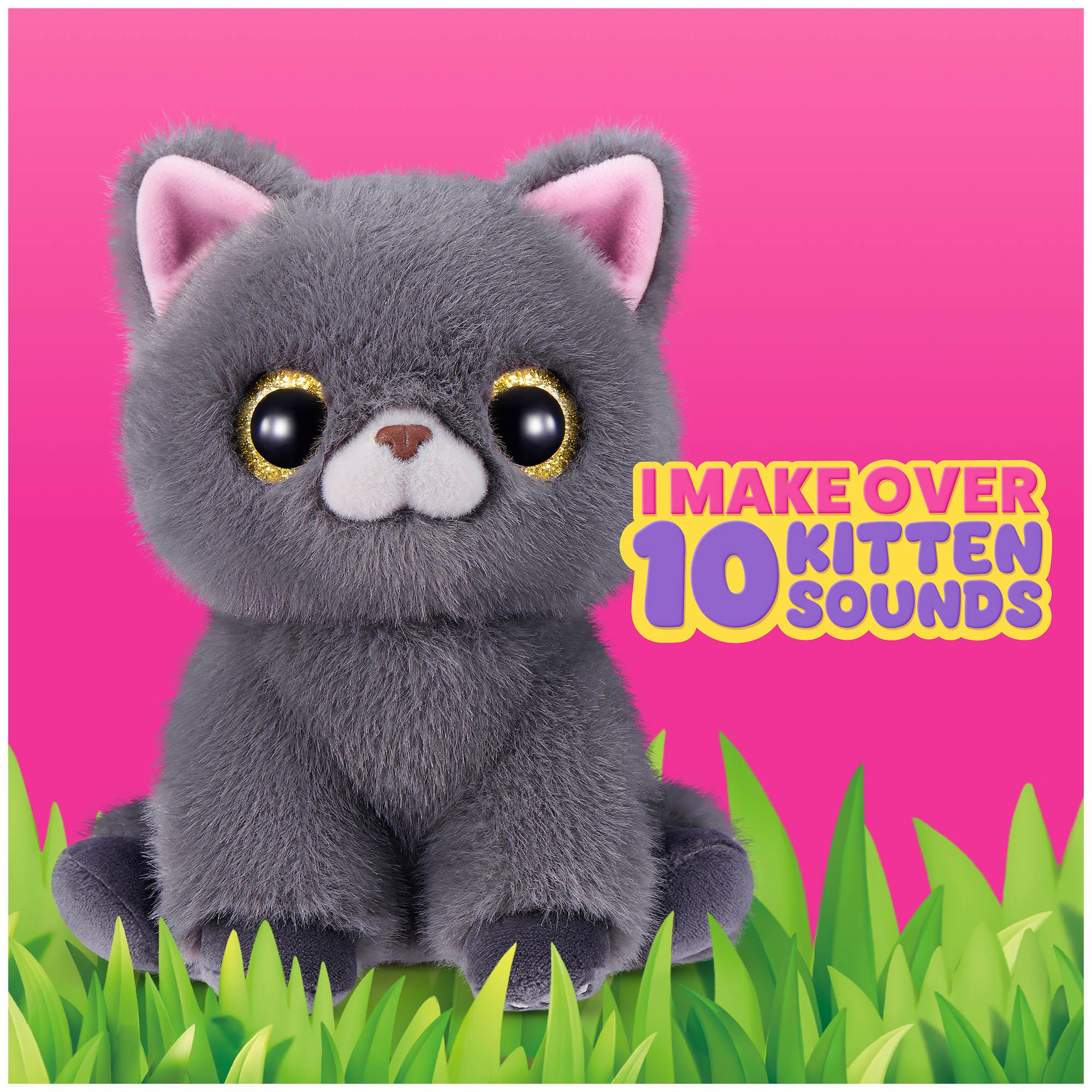 Pets Alive Smitten Kittens thumbnail 4