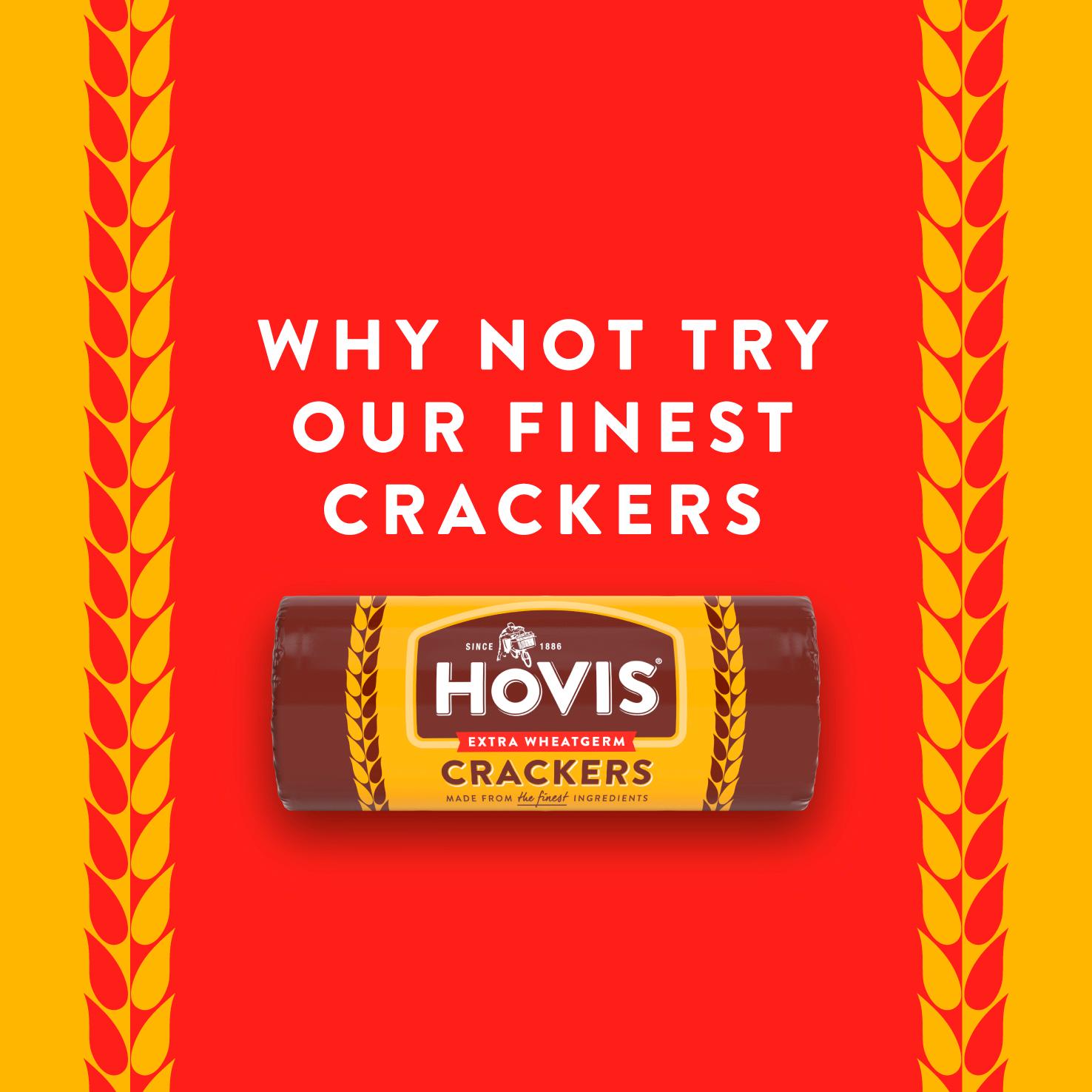 Hovis Digestive Biscuits 250g thumbnail 4