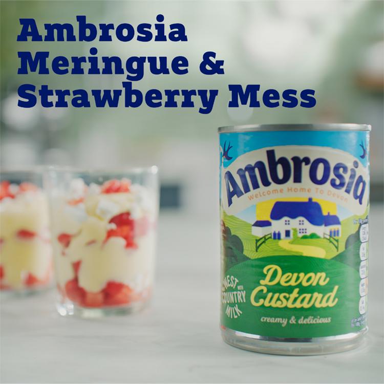 Ambrosia Devon 400g Custard Dessert Can thumbnail 3