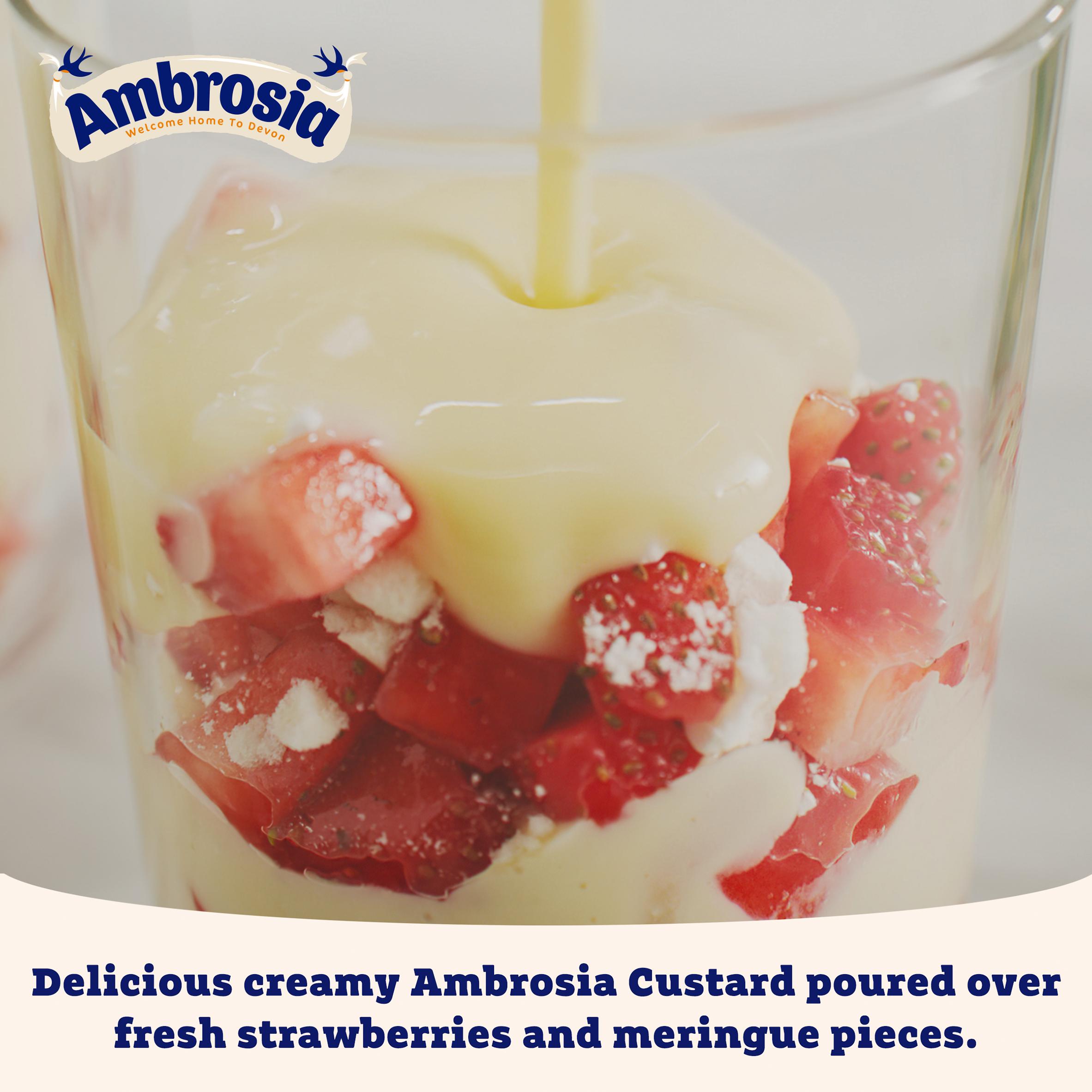 Ambrosia Devon 400g Custard Dessert Can thumbnail 5