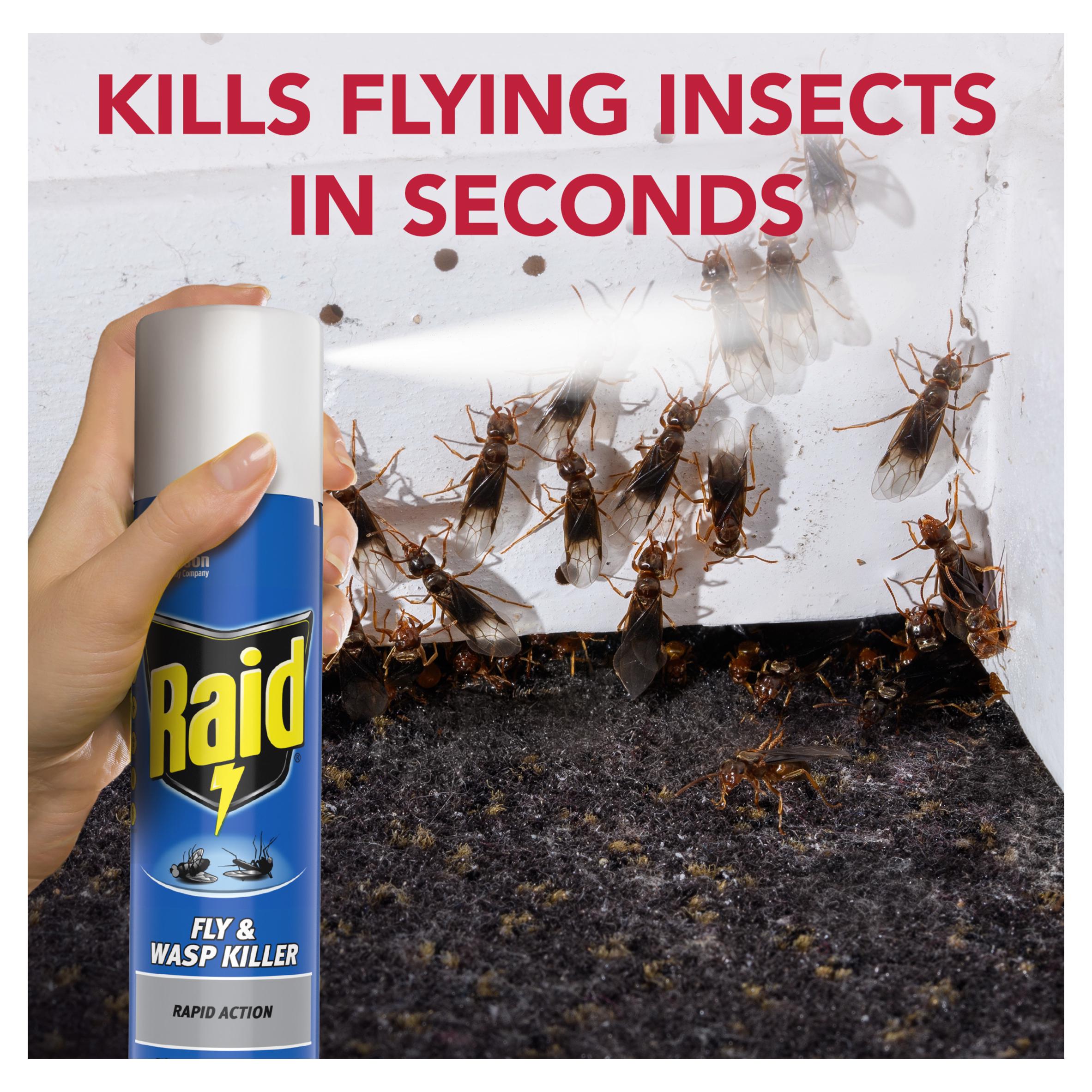 Raid Rapid Action Wasp Mosquito & Fly Killer Aerosol Spray 300ml thumbnail 2
