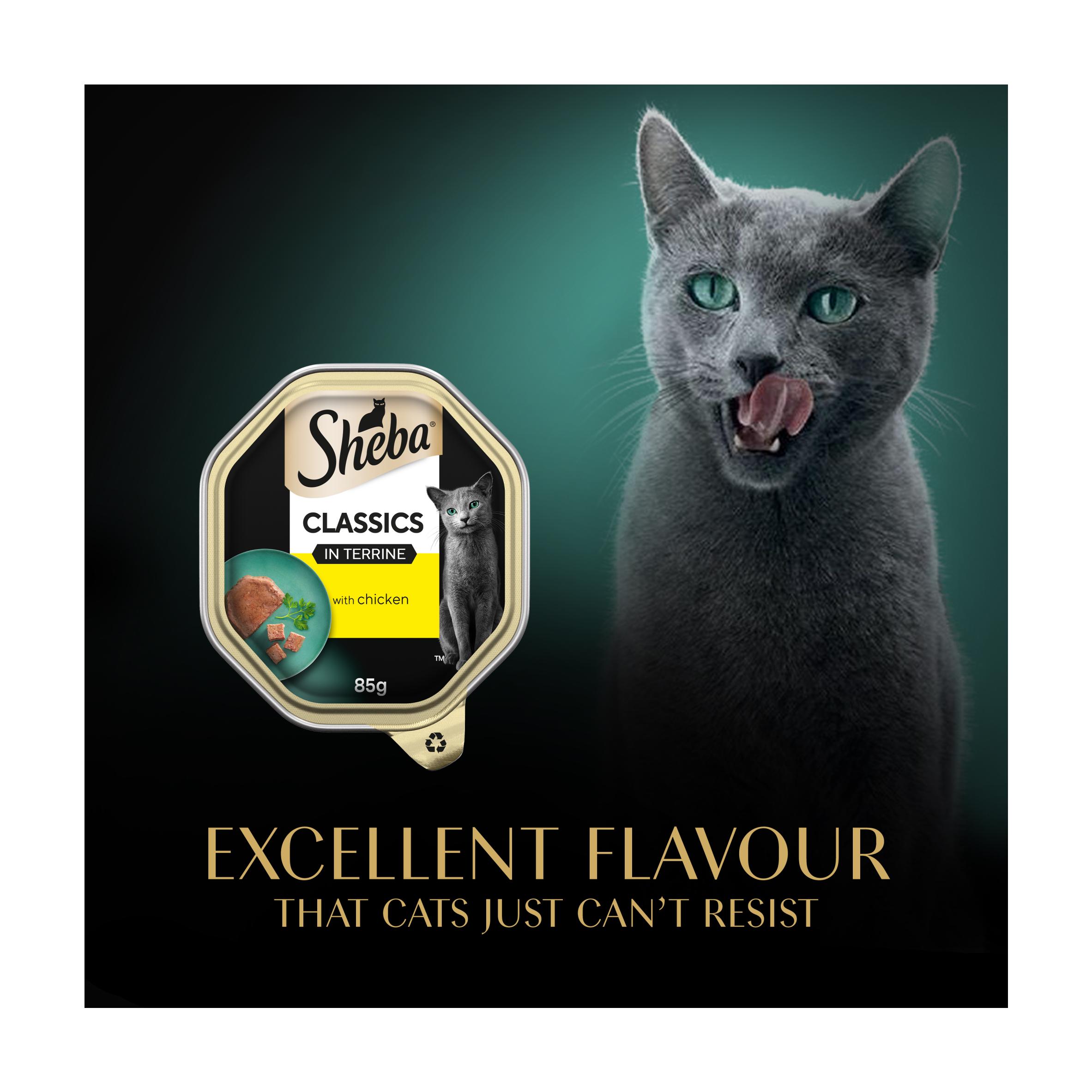 Sheba Classics Chicken in Terrine Wet Cat Food Tray 85g thumbnail 6