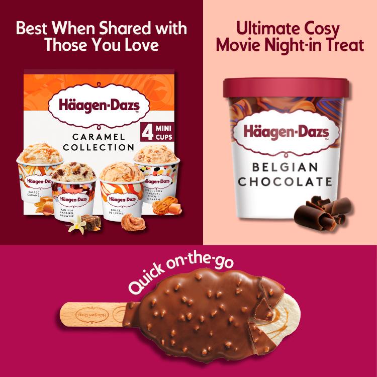 Haagen-Dazs Belgian Chocolate Ice Cream Frozen Dessert Tub 460ml thumbnail 5