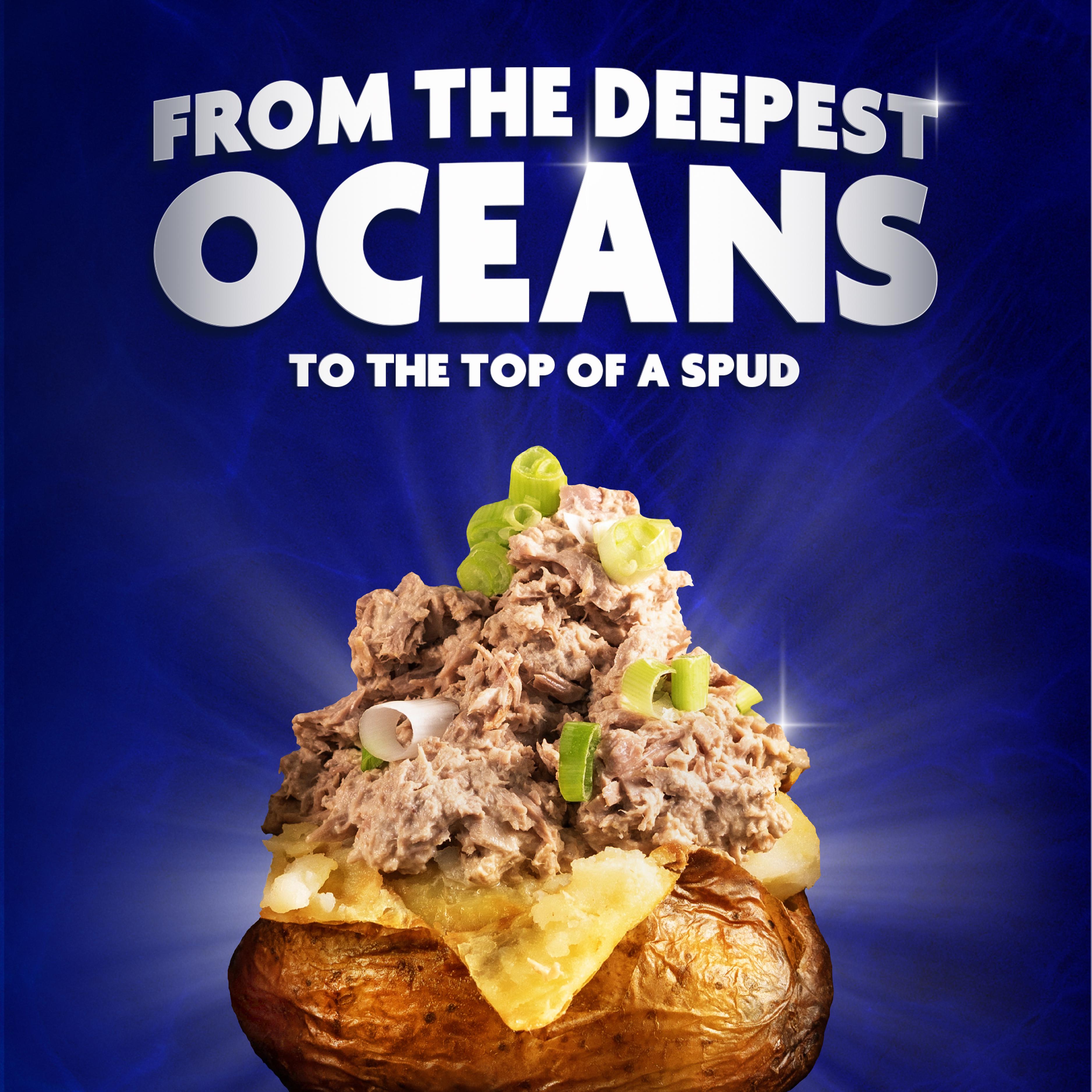 Princes Tuna Chunks in Sunflower Oil 4x145g thumbnail 5