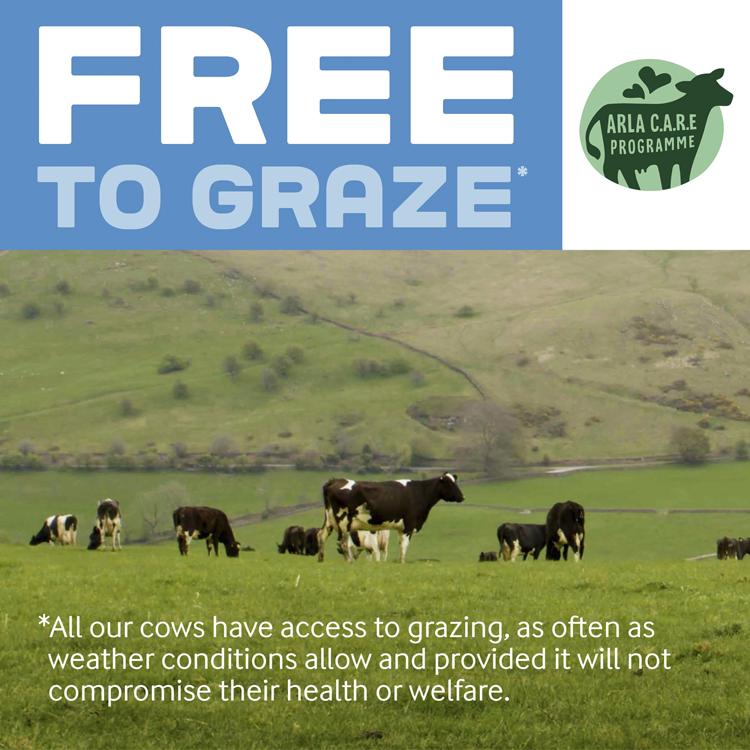 Cravendale Filtered Fresh Semi Skimmed Milk Fresher for Longer 1L thumbnail 2