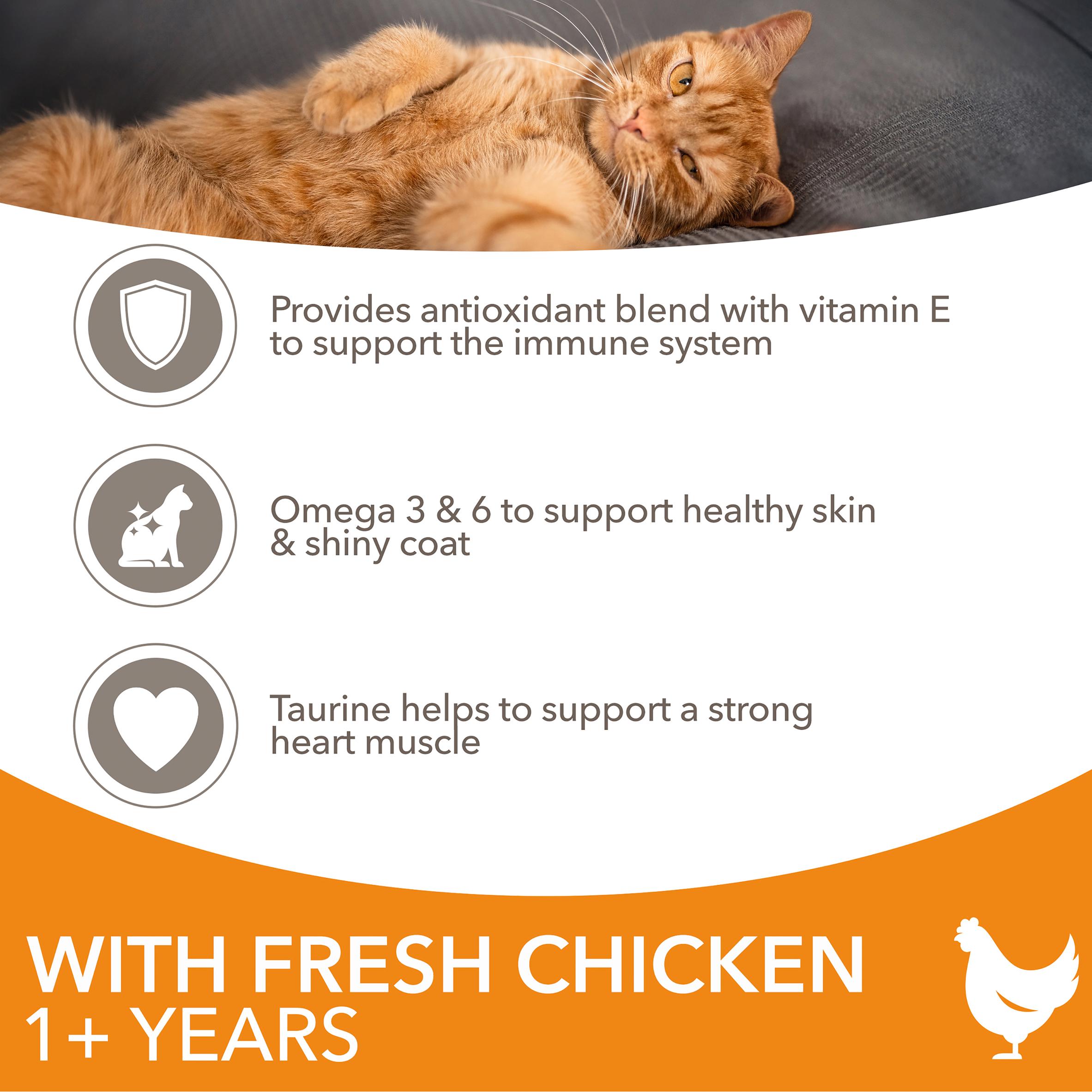 IAMS with Fresh Chicken Cat Food 1+ Years 2kg thumbnail 2