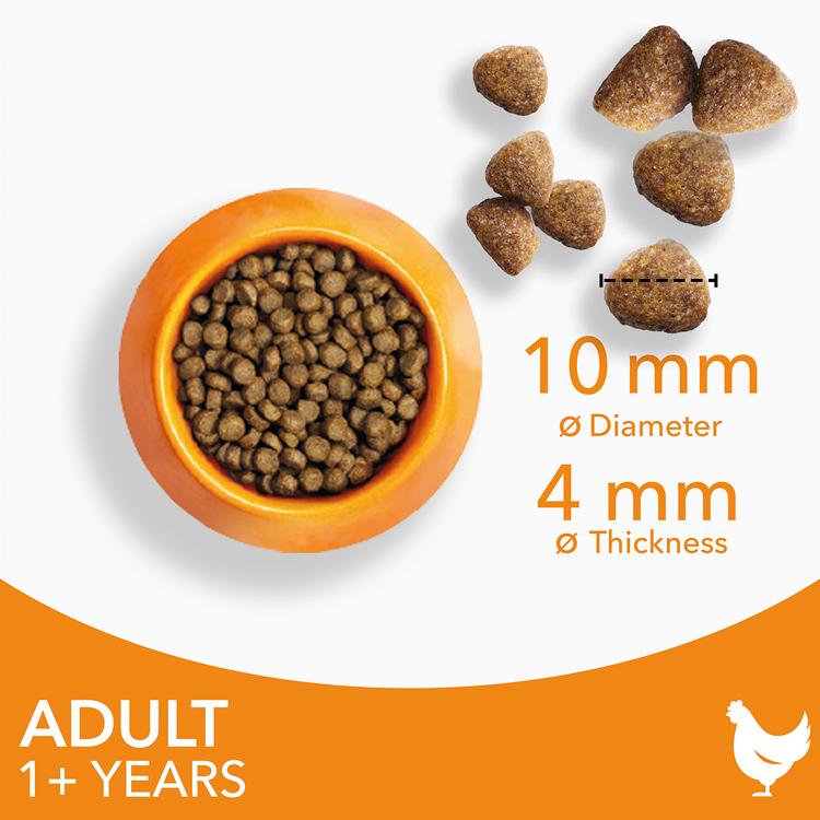 IAMS with Fresh Chicken Cat Food 1+ Years 2kg thumbnail 3