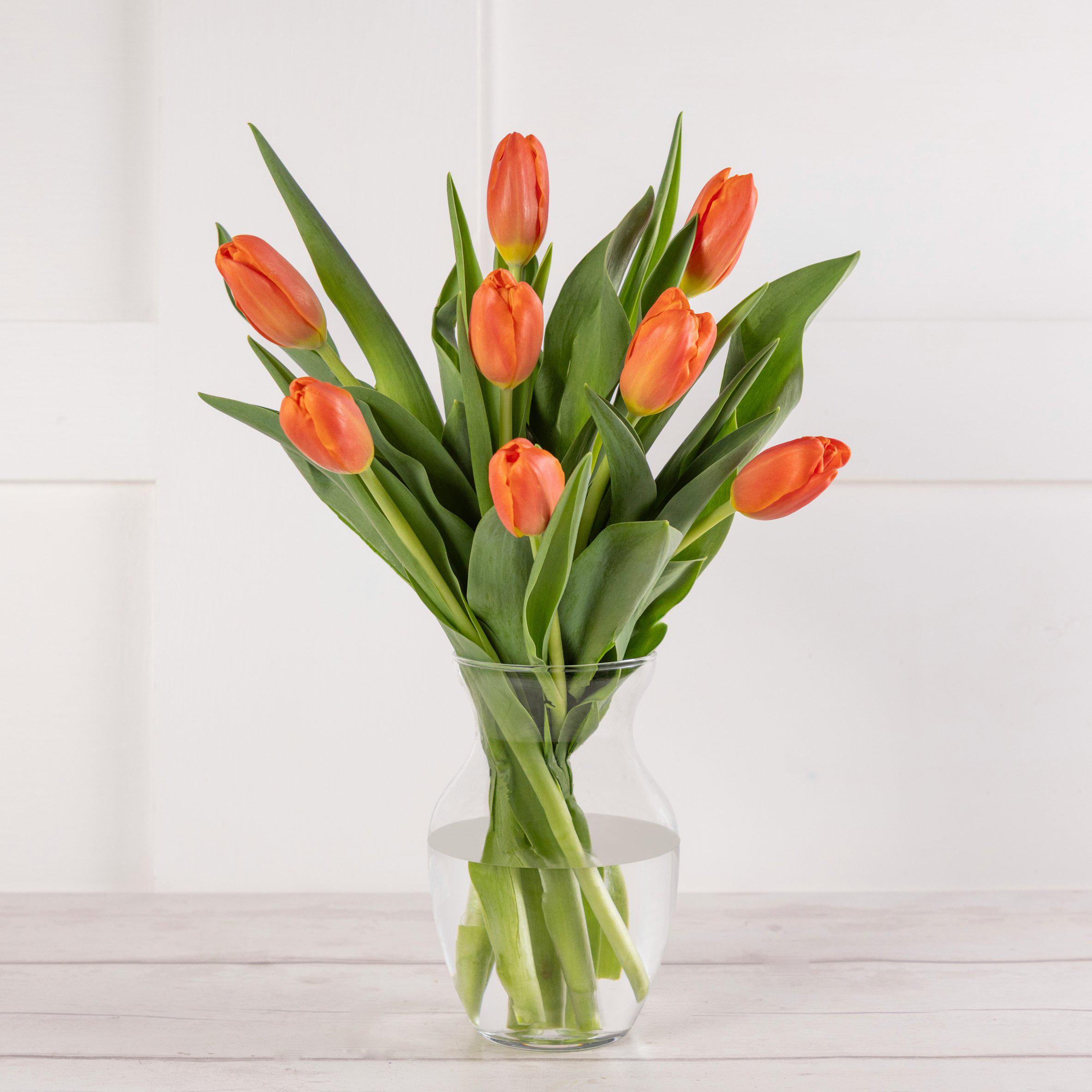 Tulips