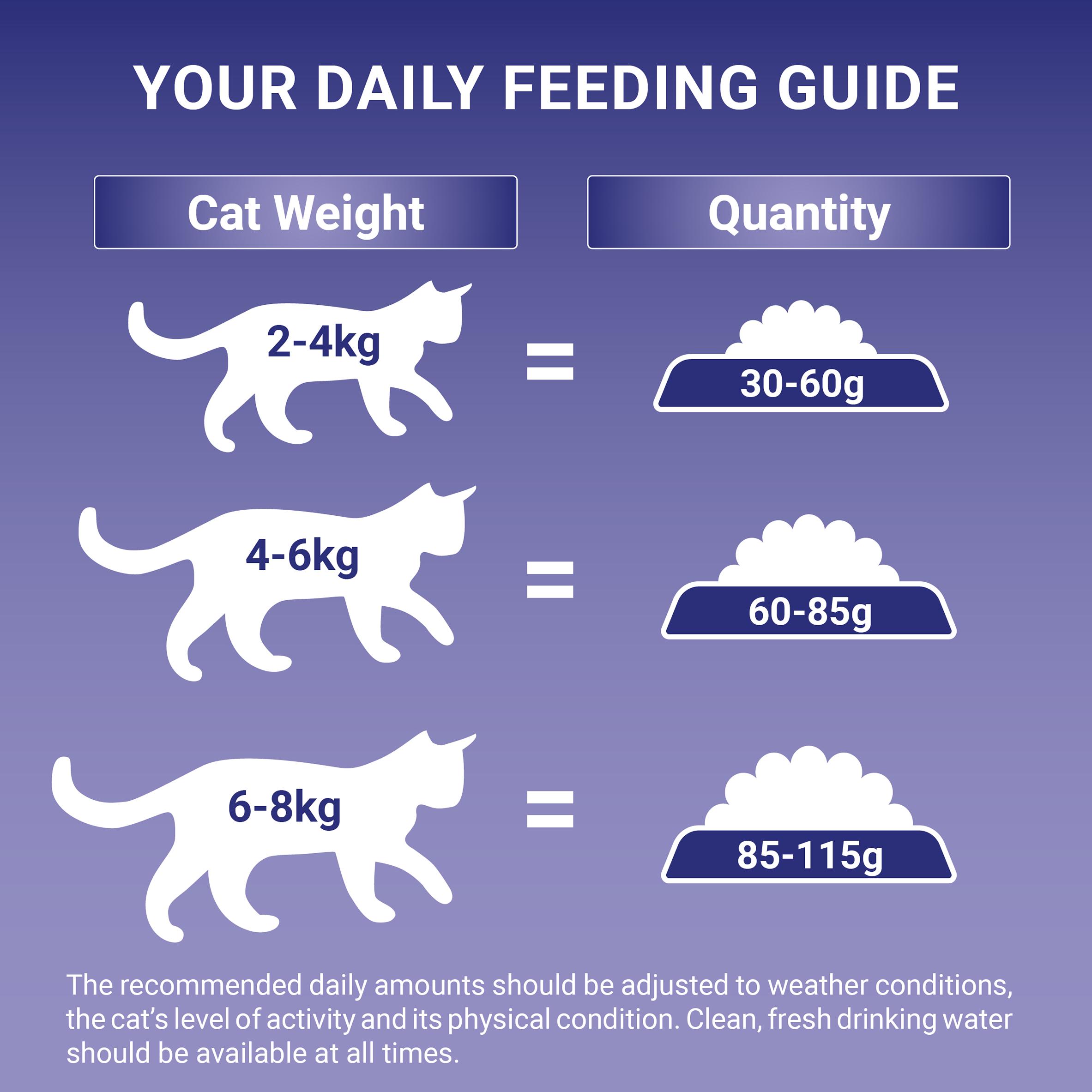 Purina One Adult Dry Cat Food Salmon & Wholegrain 3kg thumbnail 5