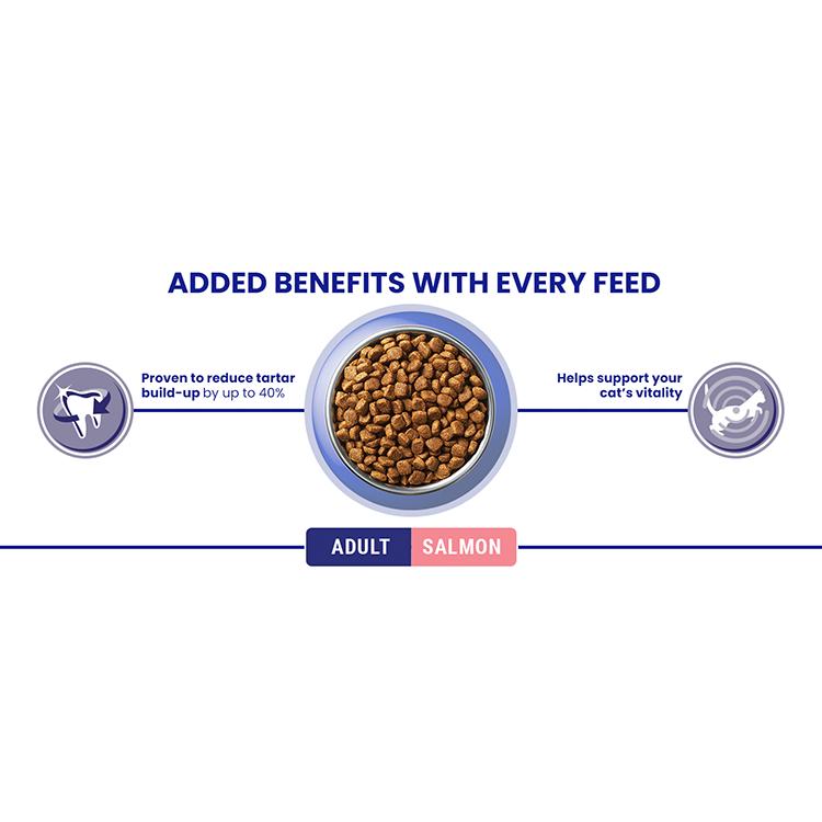 Purina One Adult Dry Cat Food Salmon & Wholegrain 3kg thumbnail 6