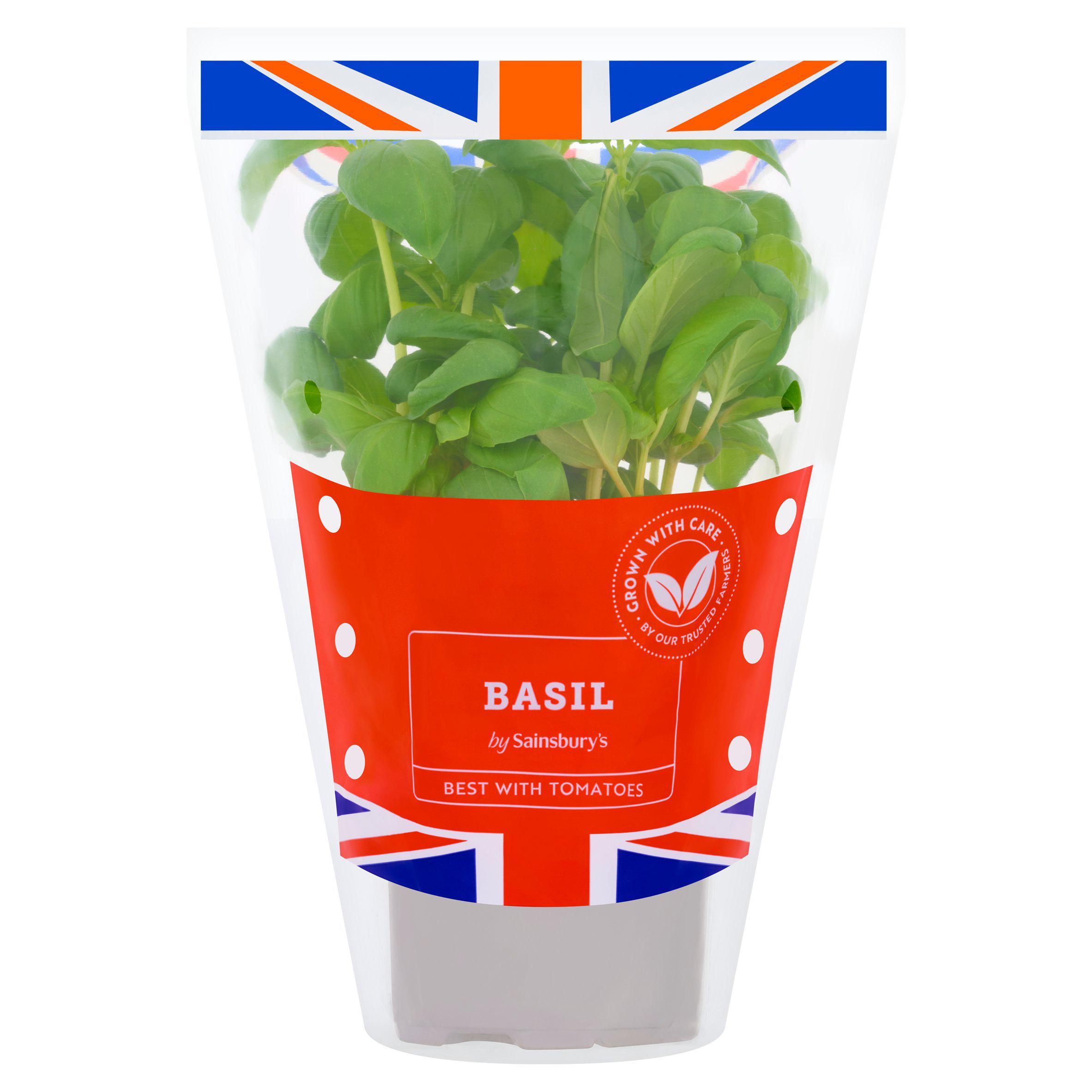 Sainsbury's Fresh Living Basil Pot