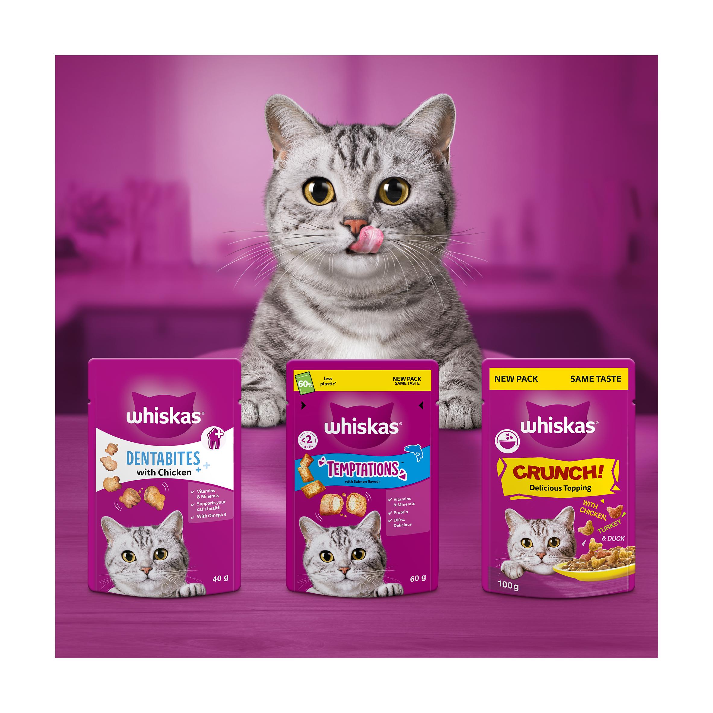 Whiskas Temptations Cat Treat Biscuits with Salmon Flavour 60g thumbnail 5