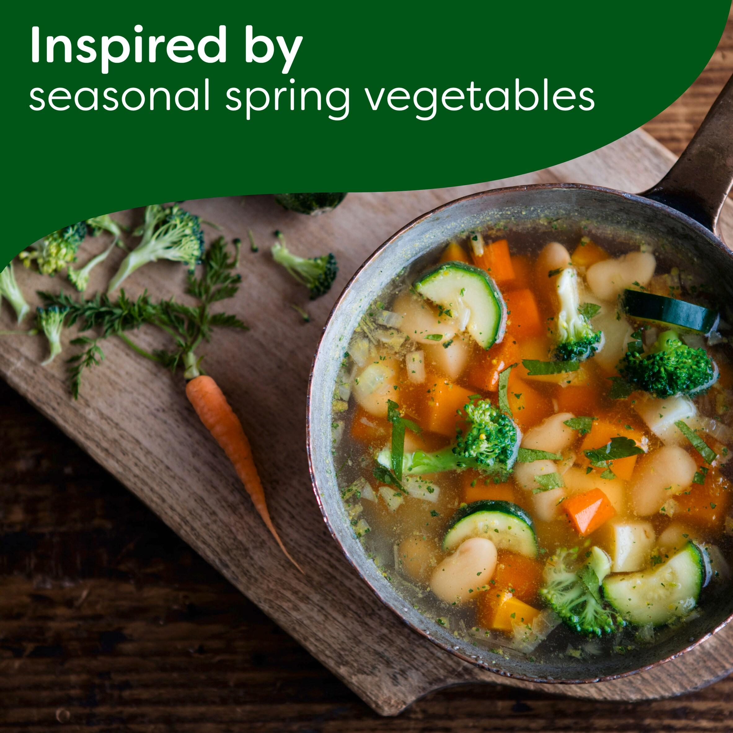 Knorr Florida Spring Vegetable Dry Packet Soup 48g thumbnail 2