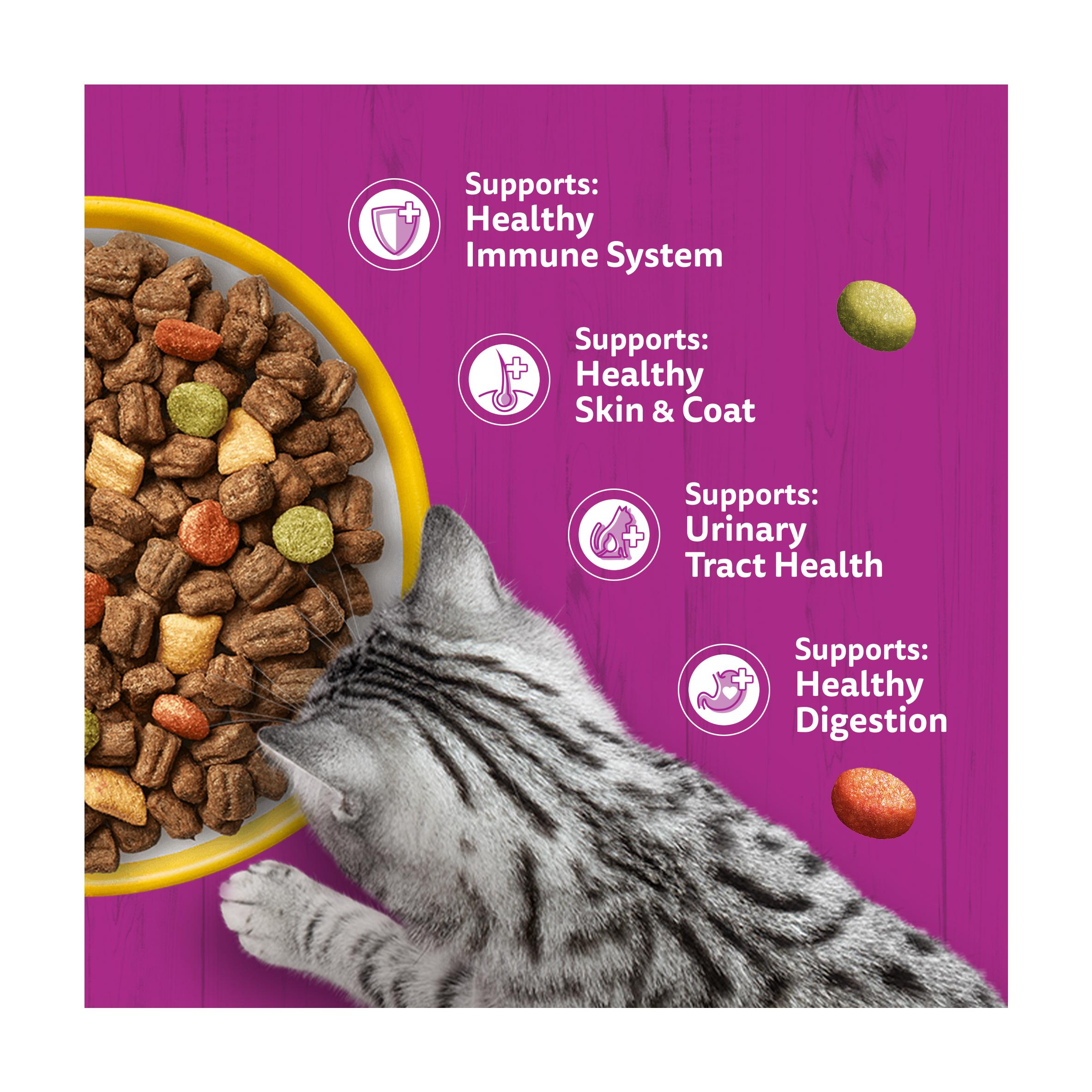 Whiskas 1+ Chicken Complete Adult Dry Cat Food 800g thumbnail 3