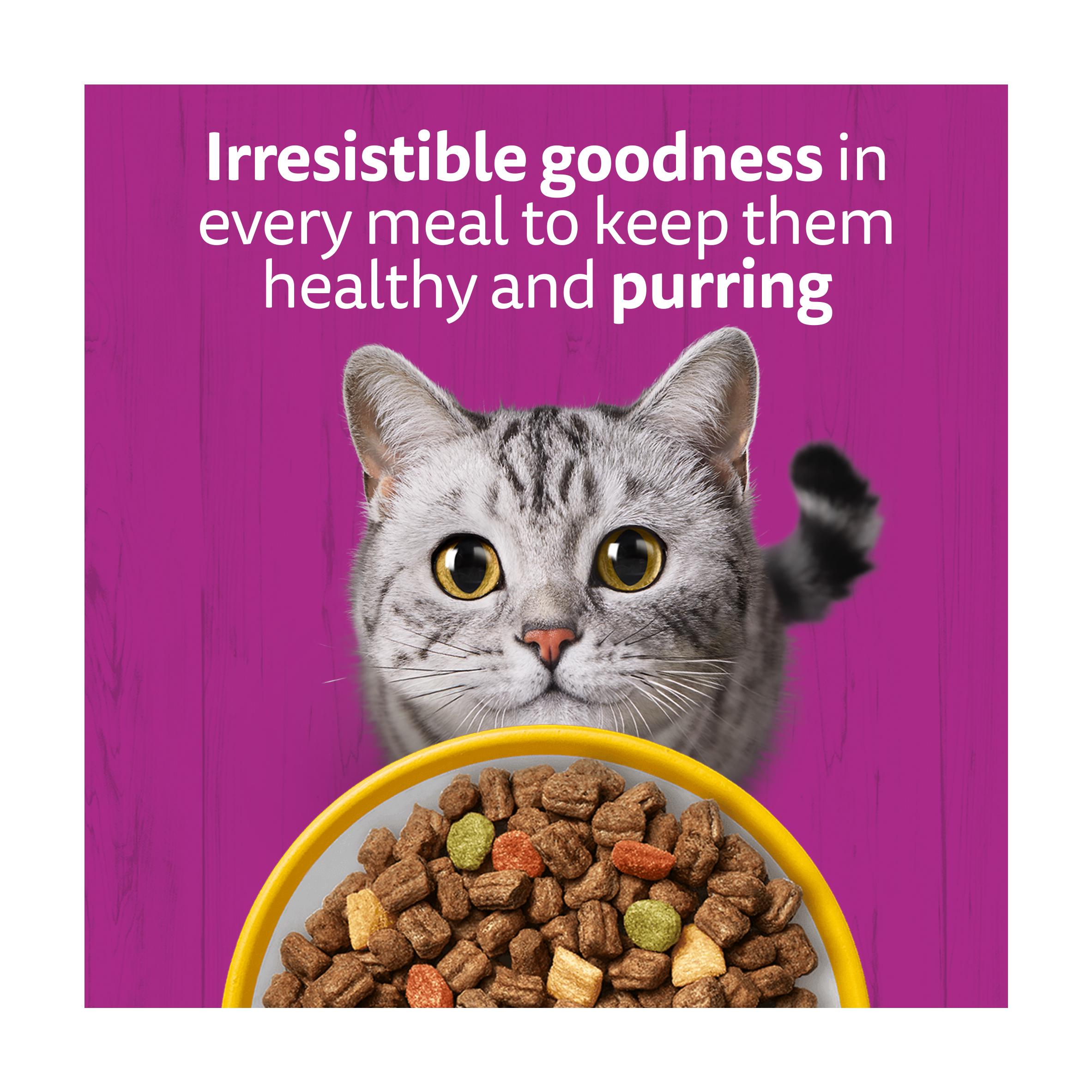 Whiskas Chicken Senior Complete Dry Cat Food 800g thumbnail 5