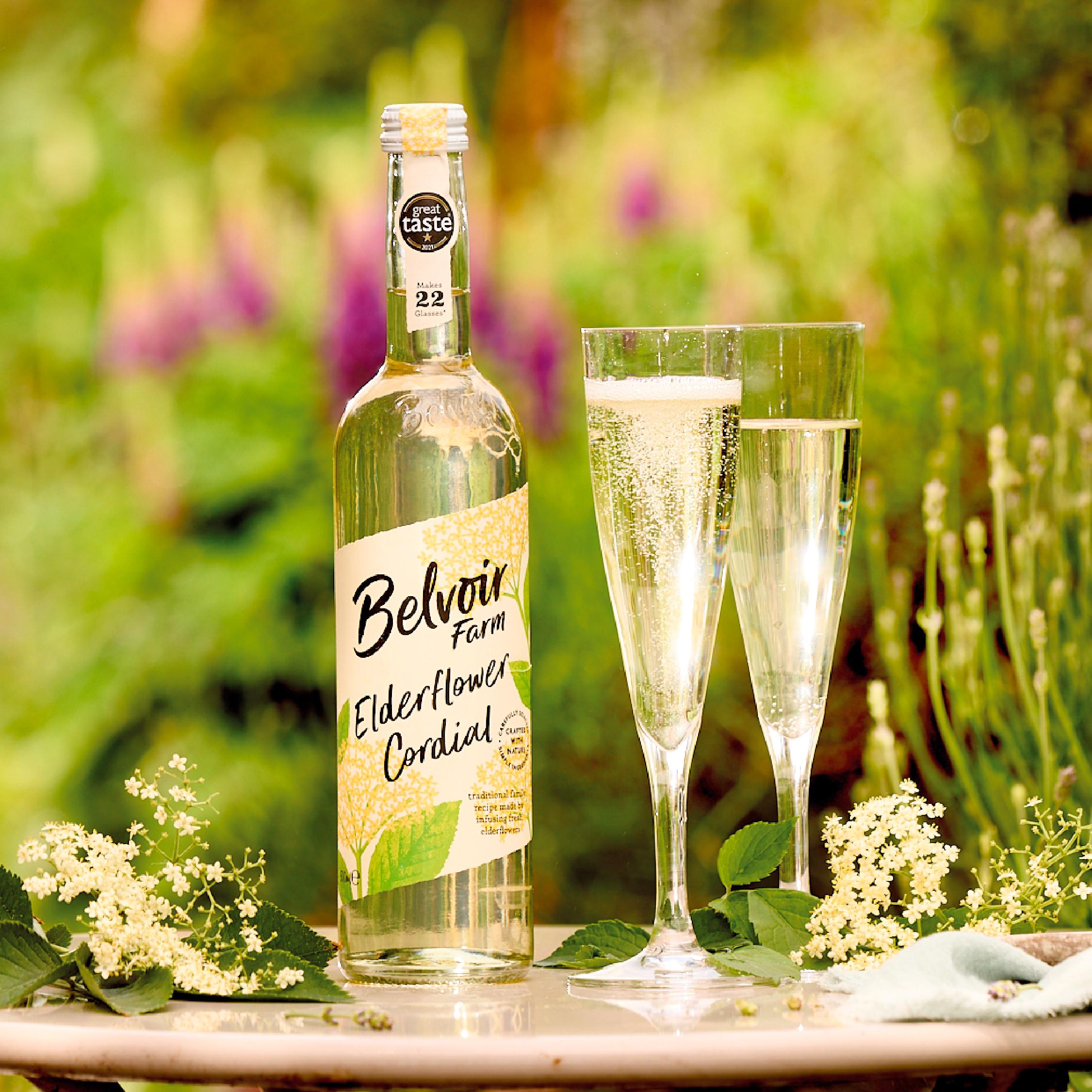 Belvoir Farm Elderflower Cordial 500ml thumbnail 6