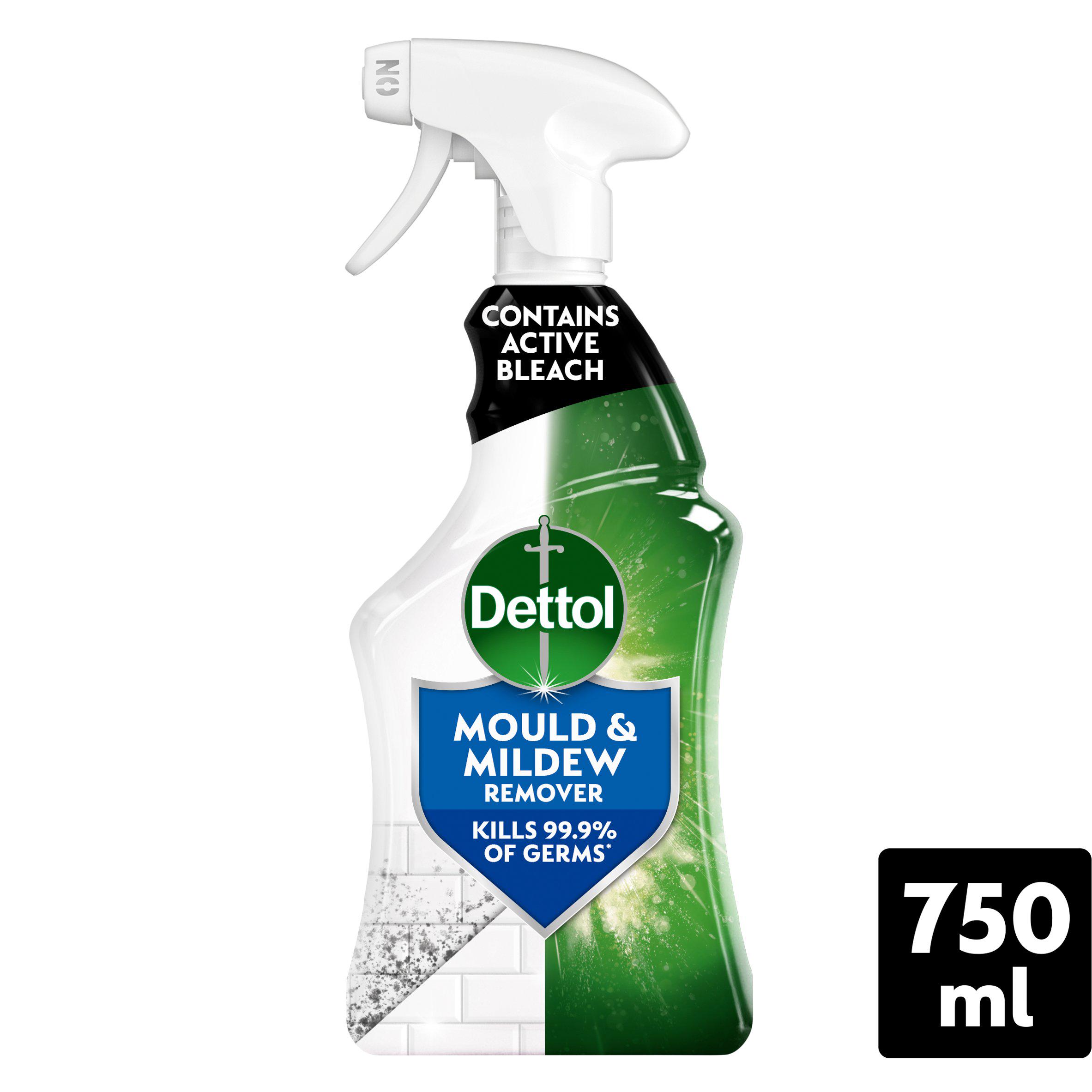 Dettol Antibacterial Mould & Mildew Remover Spray 750ml