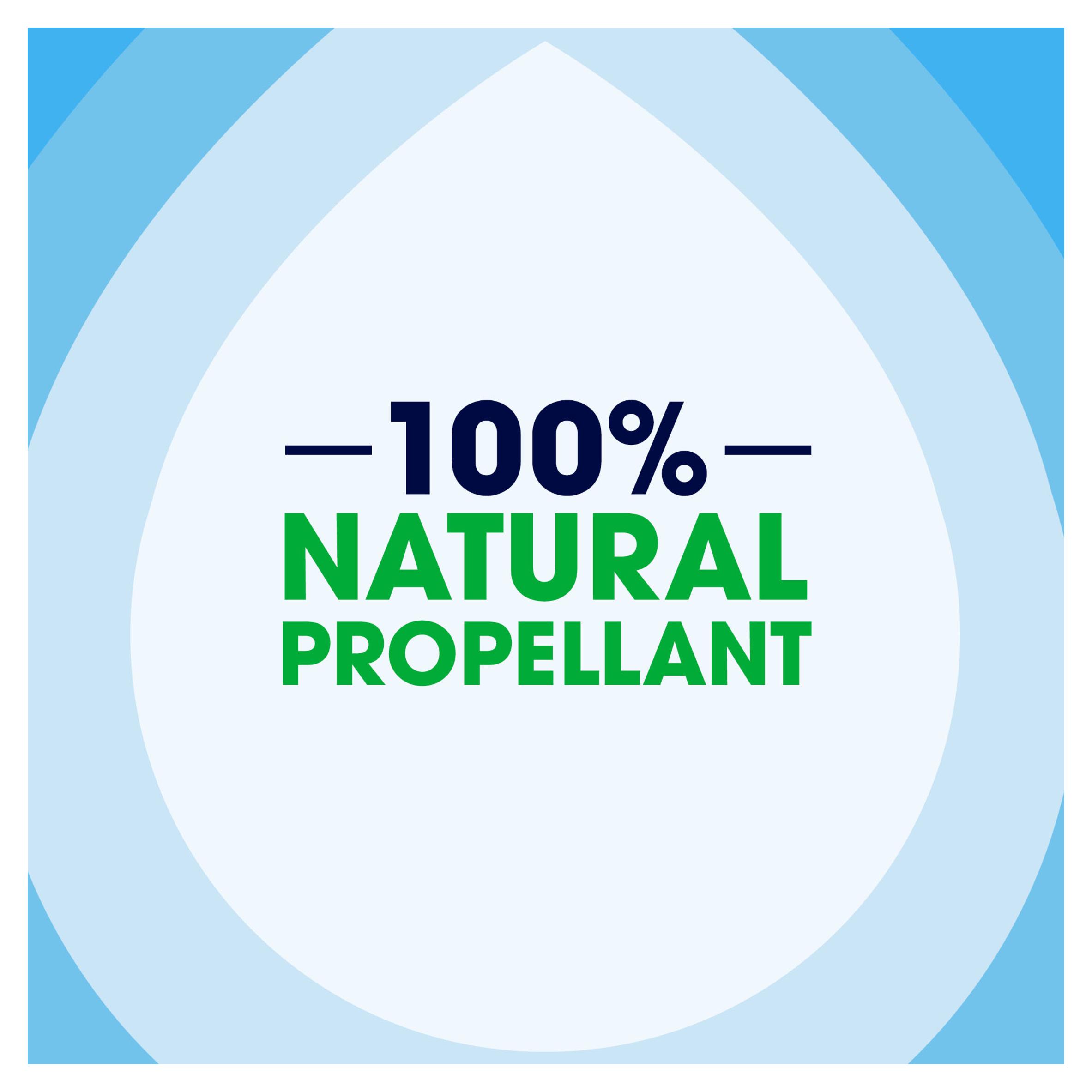 Pledge Everyday Clean Multi-Surface Aerosol Classic 250 ml thumbnail 4