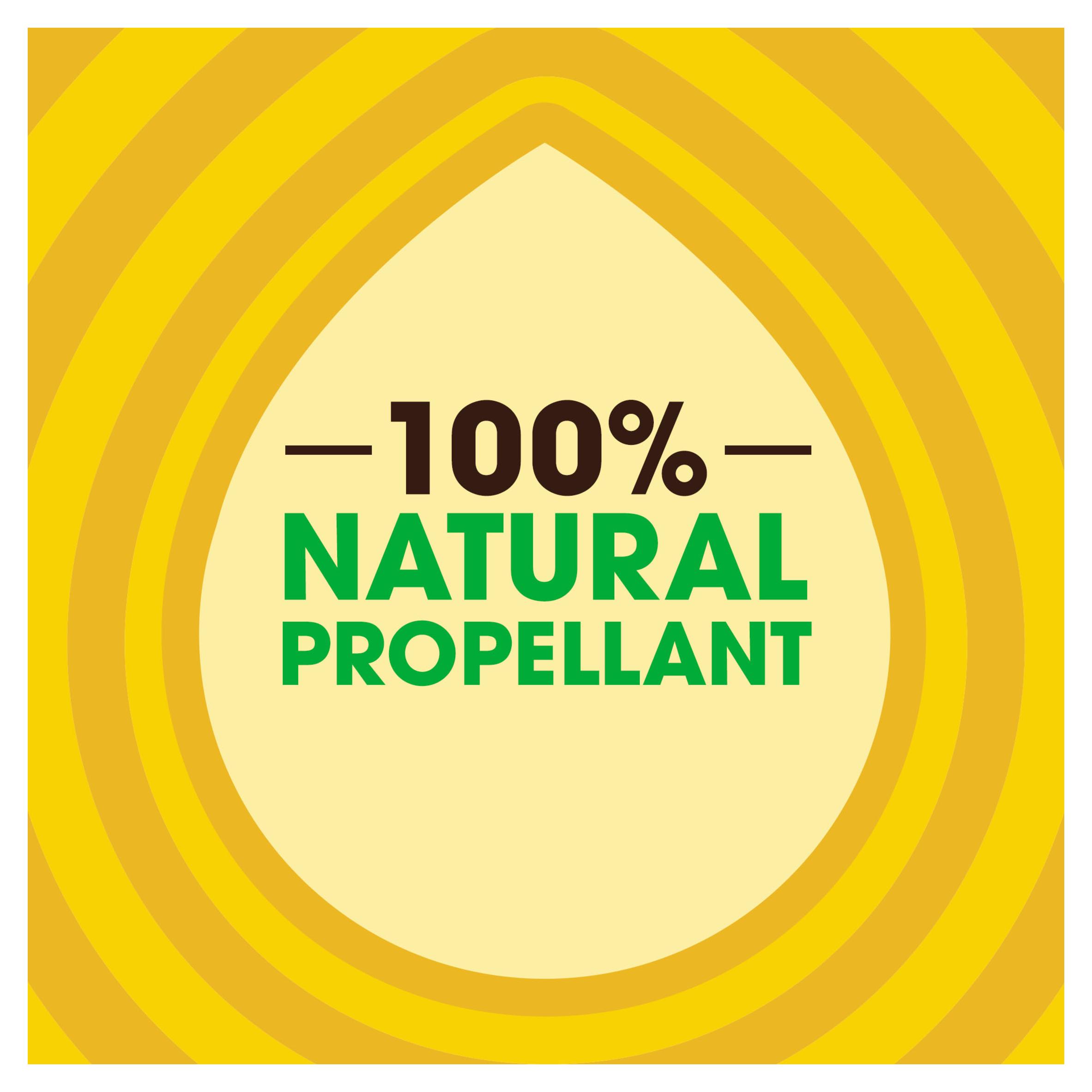 Pledge Expert Wood Care Polish Aerosol Classic 250ml thumbnail 4