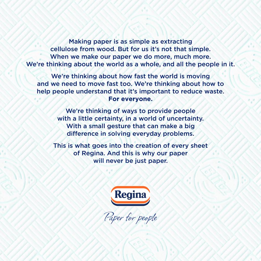 Regina Blitz Household Towel thumbnail 6