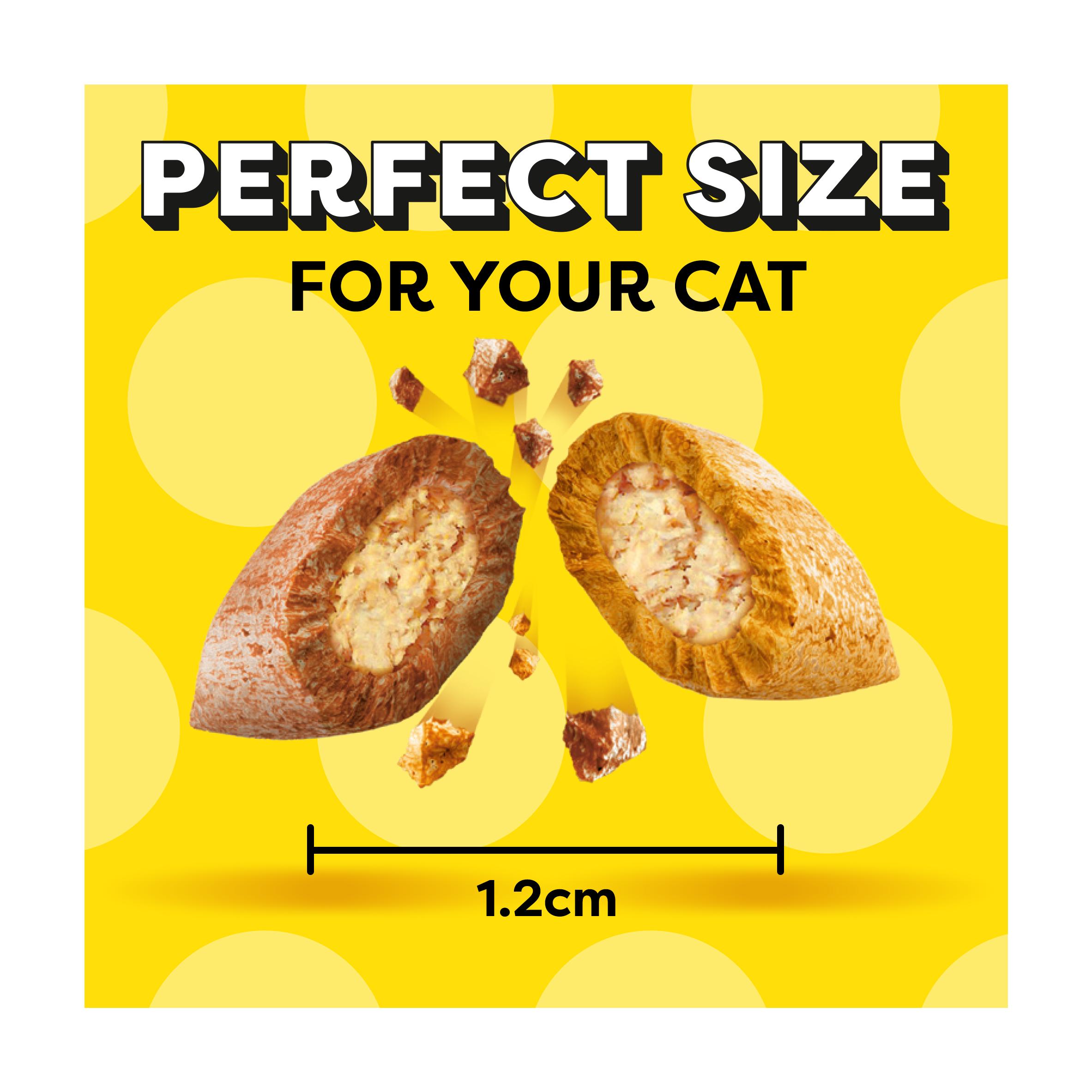 Dreamies 60g Mix Cat Treat Biscuits with Chicken & Duck thumbnail 3