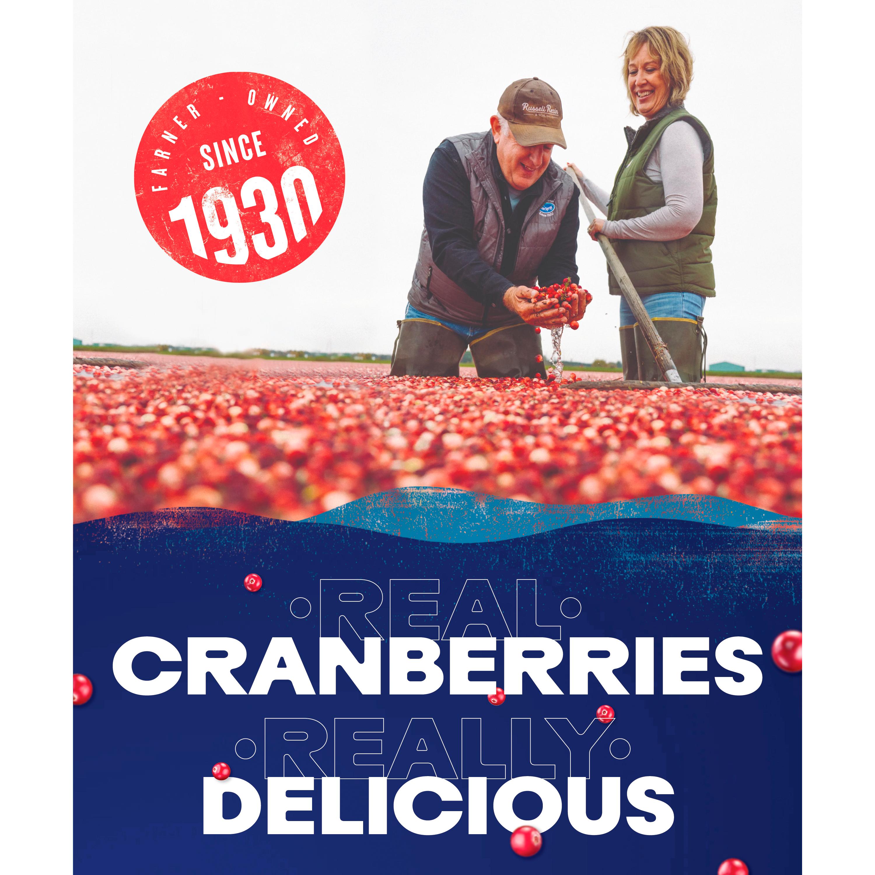 Ocean Spray Cranberry Juice 1L thumbnail 6