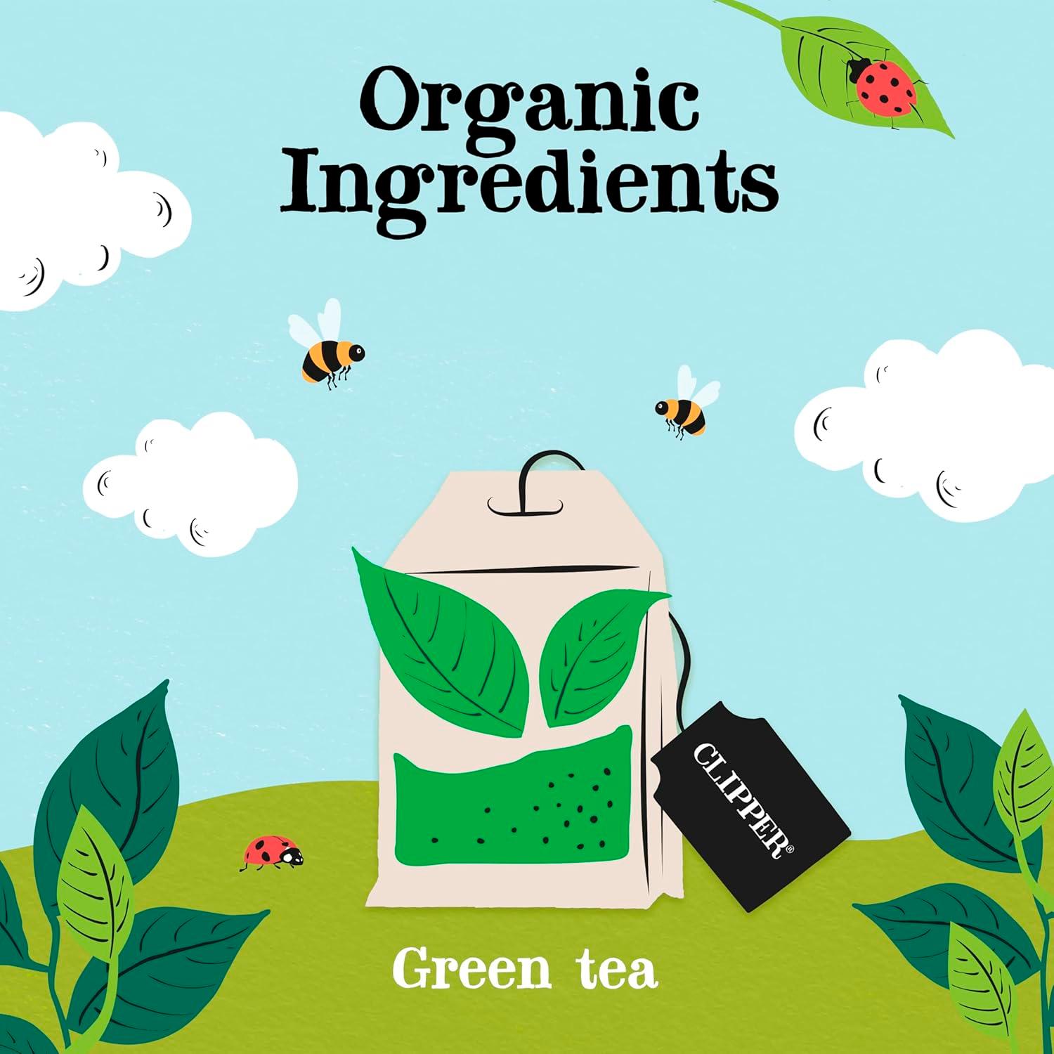 Clipper Fairtrade Organic Green Tea x80 Tea Bags 160g thumbnail 3