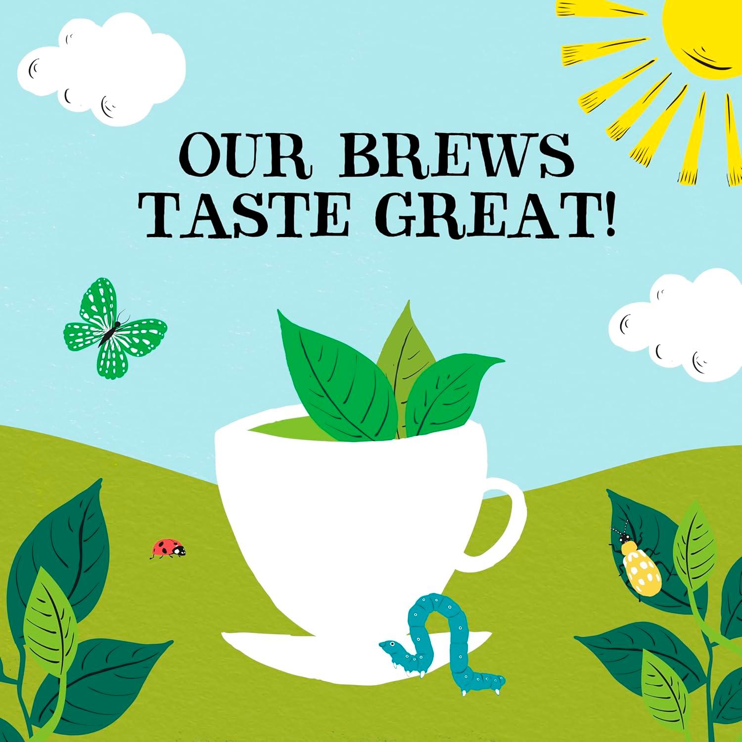 Clipper Fairtrade Organic Green Tea x80 Tea Bags 160g thumbnail 5