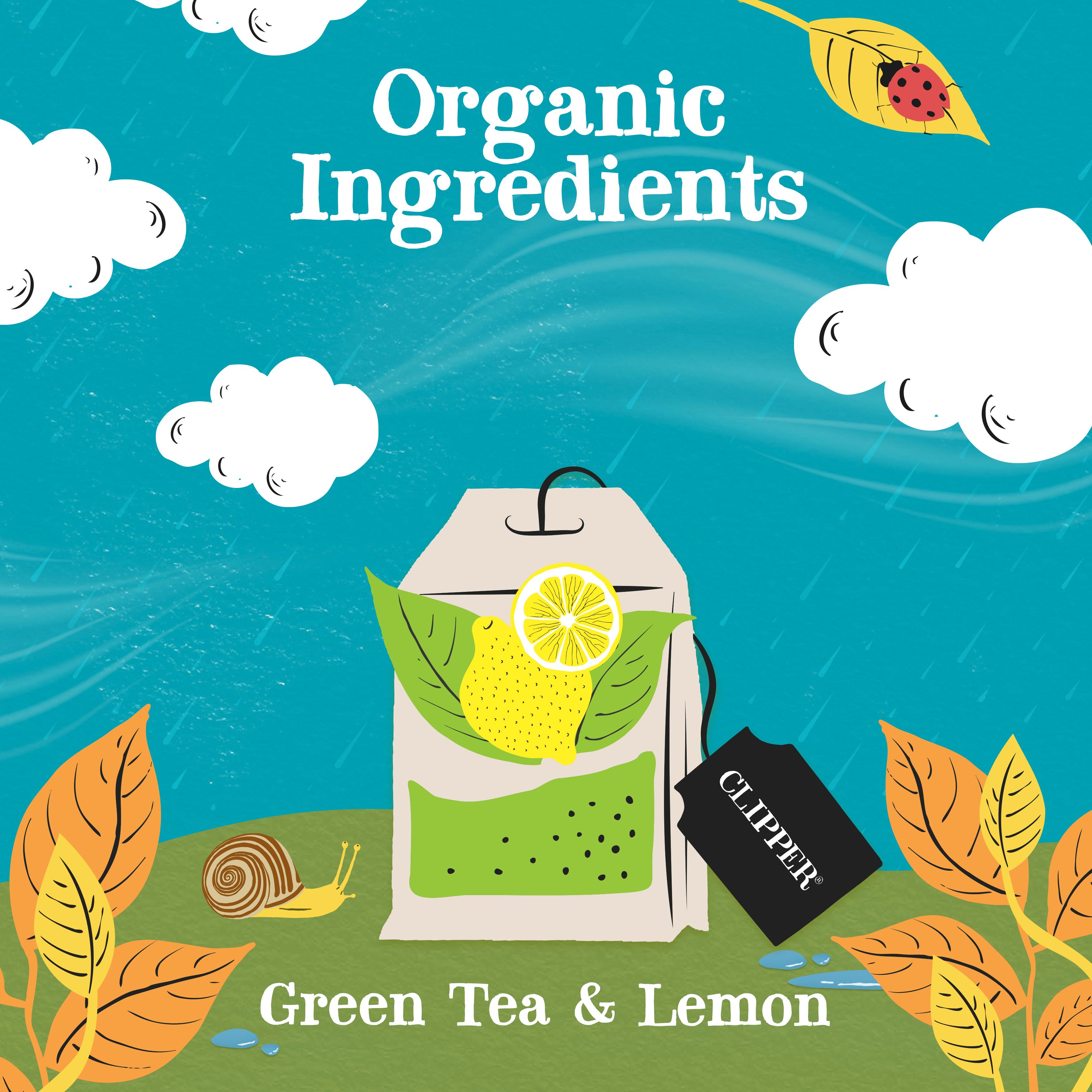 Clipper Fairtrade Green Tea & Lemon x80 Tea Bags 160g thumbnail 3