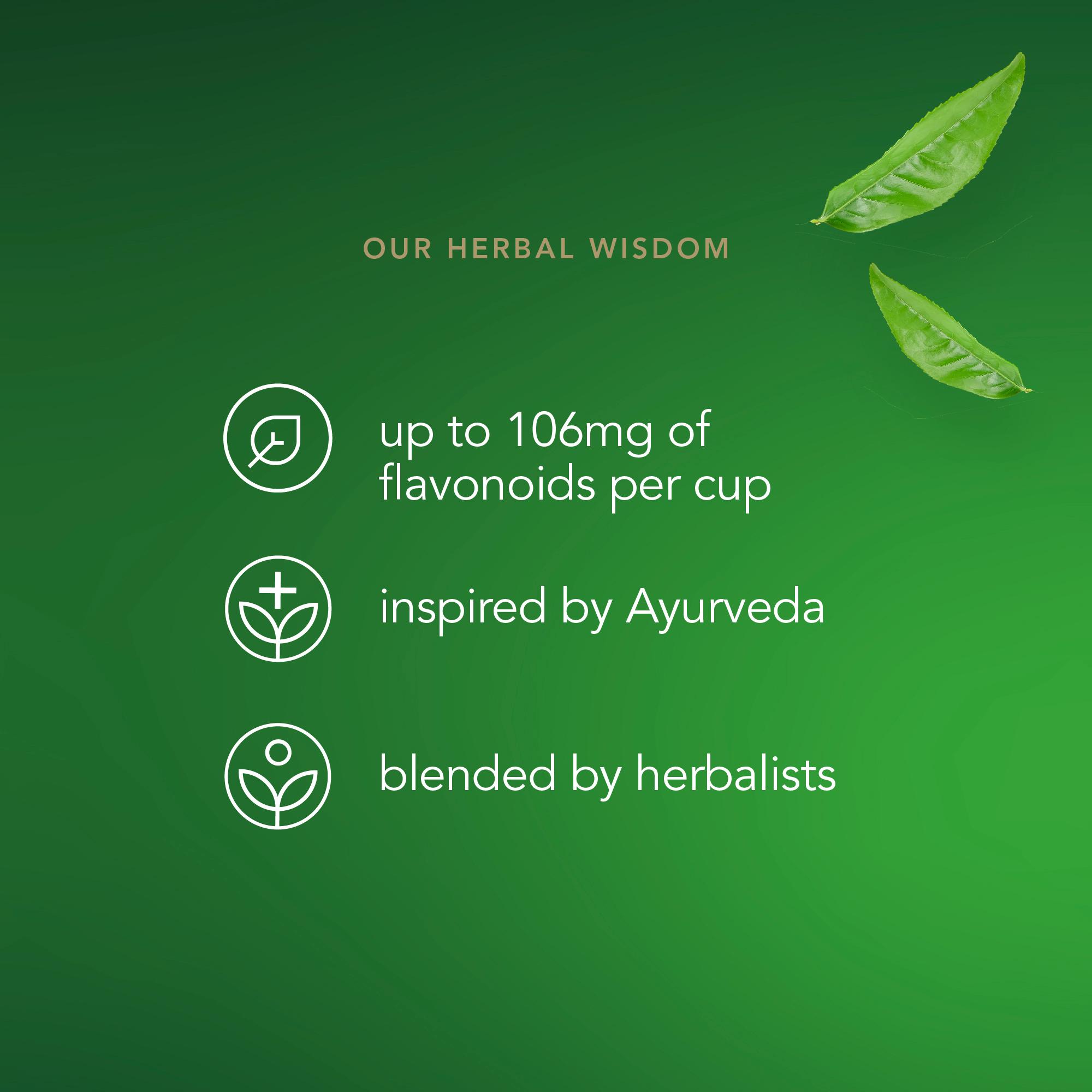 Pukka Organic Supreme Matcha Green Herbal Tea Home Compostable Green Tea Bags x20 thumbnail 5