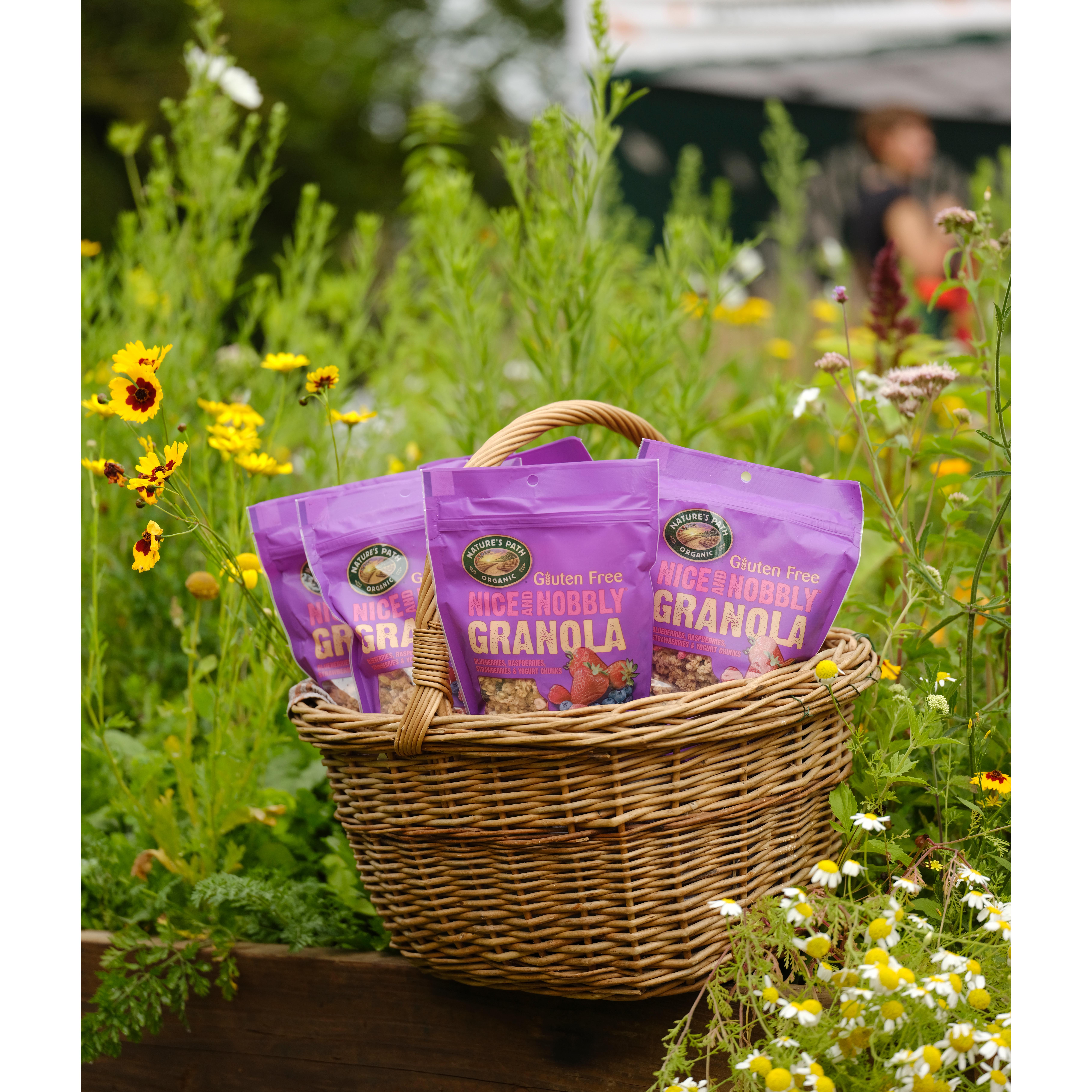 Nature's Path Gluten Free Granola Mixed Berry 300g thumbnail 6