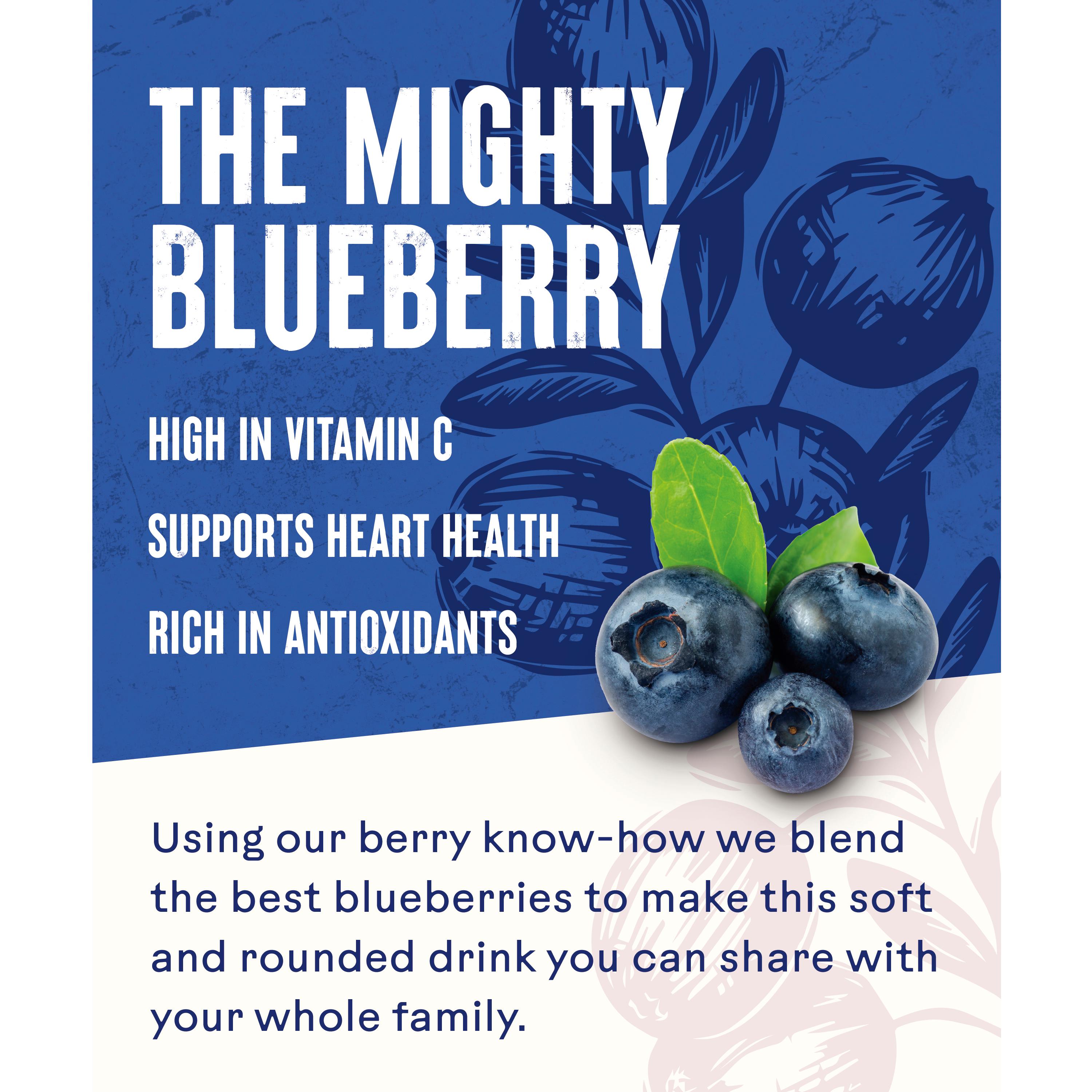 Ocean Spray Blueberry Drink 1L thumbnail 2