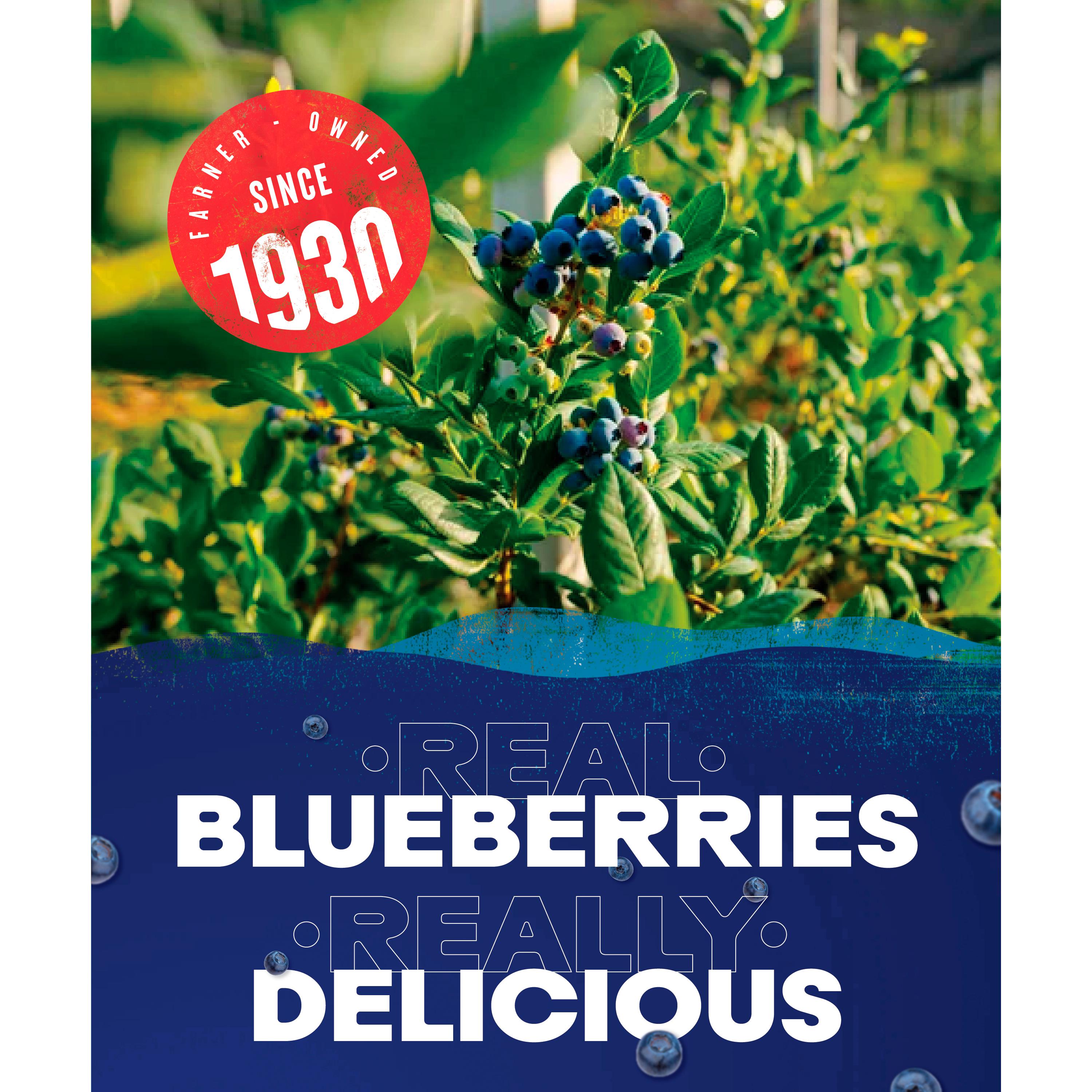 Ocean Spray Blueberry Drink 1L thumbnail 6