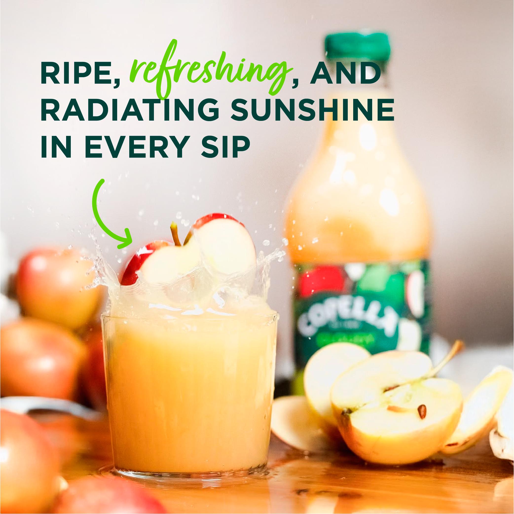 Copella Cloudy Apple Fruit Juice 300ml thumbnail 3