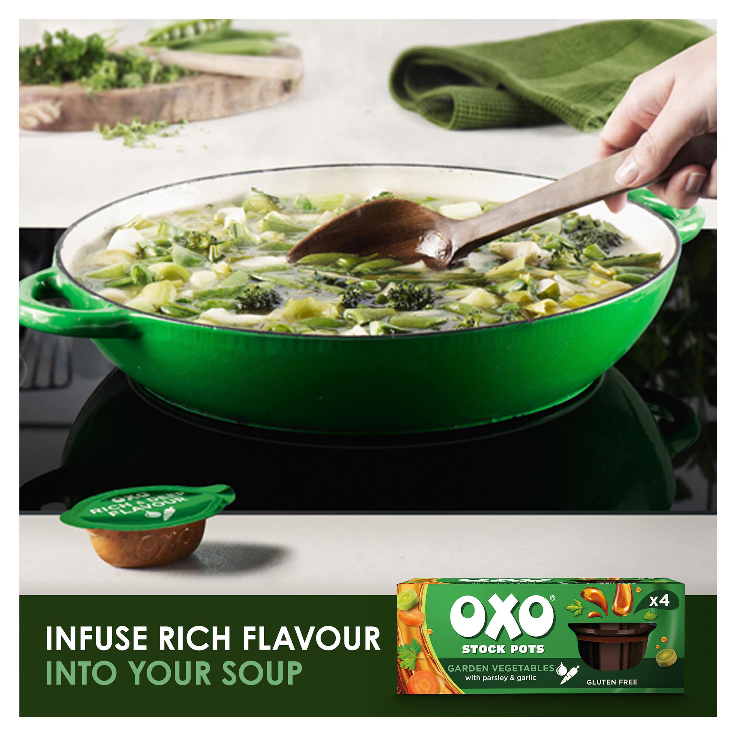 Oxo Stock Pots Garden Vegetables 4x20g thumbnail 2