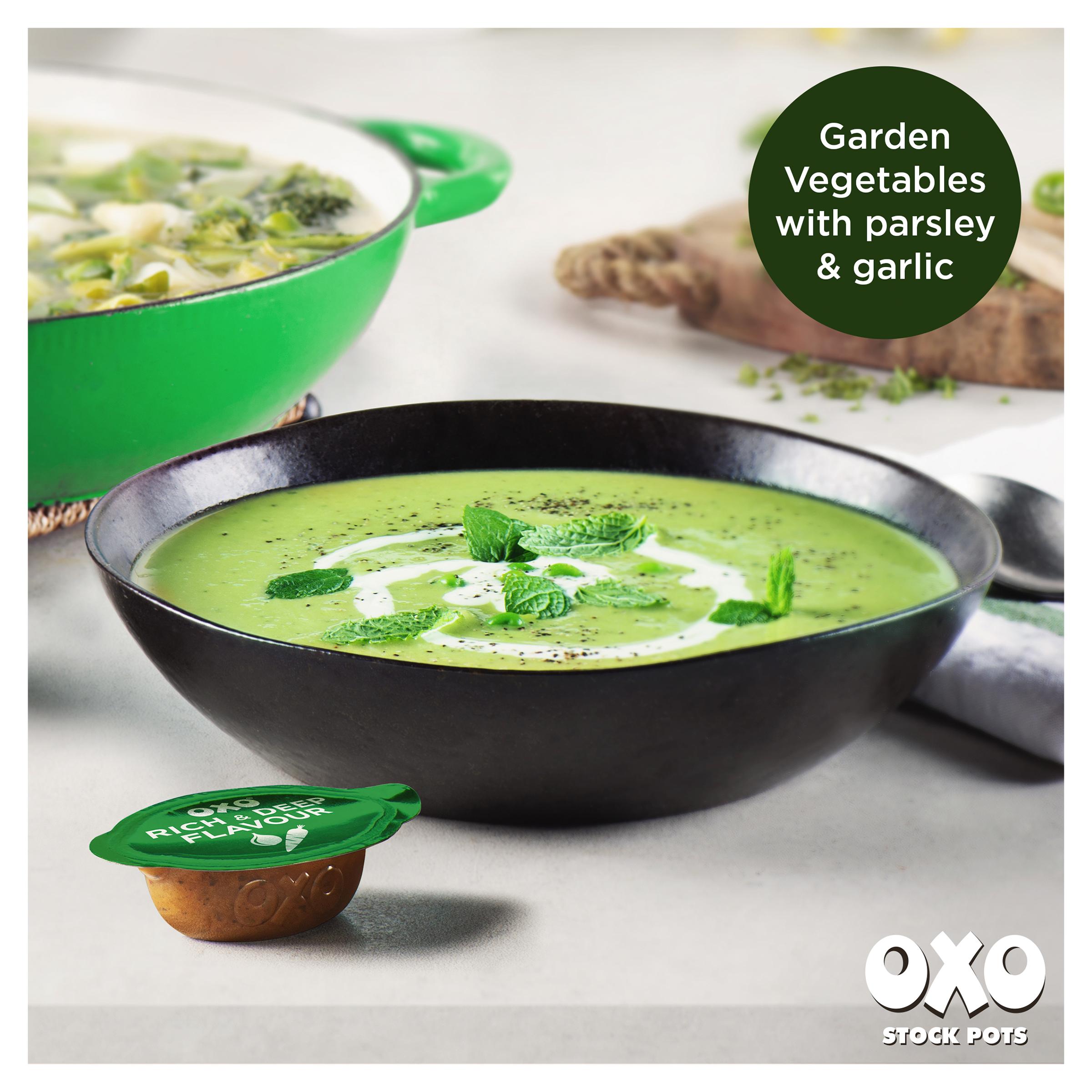 Oxo Stock Pots Garden Vegetables 4x20g thumbnail 3