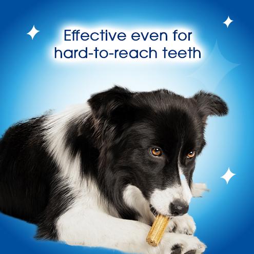 Dentalife Small Dental Chicken Dog Chews Sticks x7 thumbnail 6