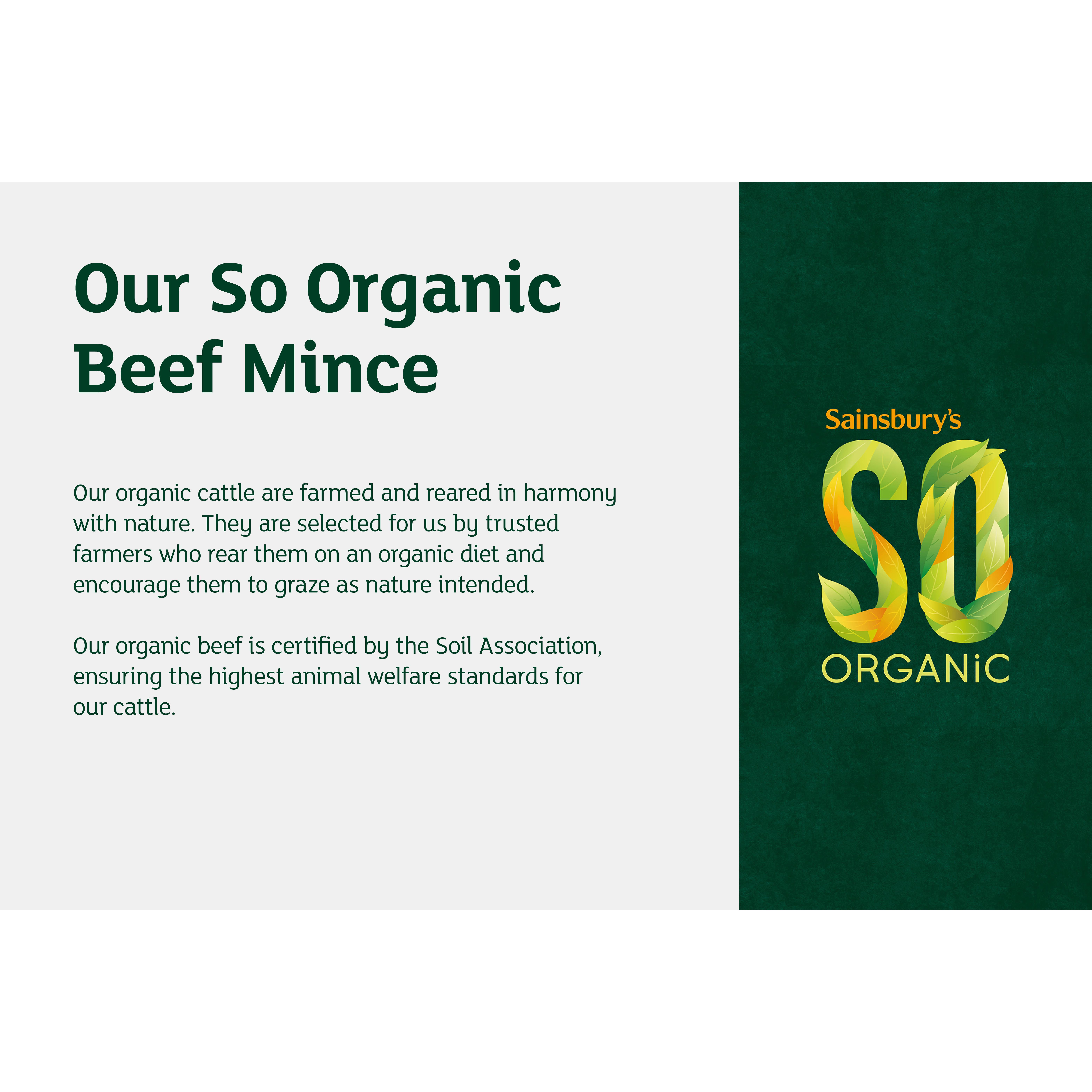 Sainsbury's Organic British Beef Mince 12% Fat 500g thumbnail 3
