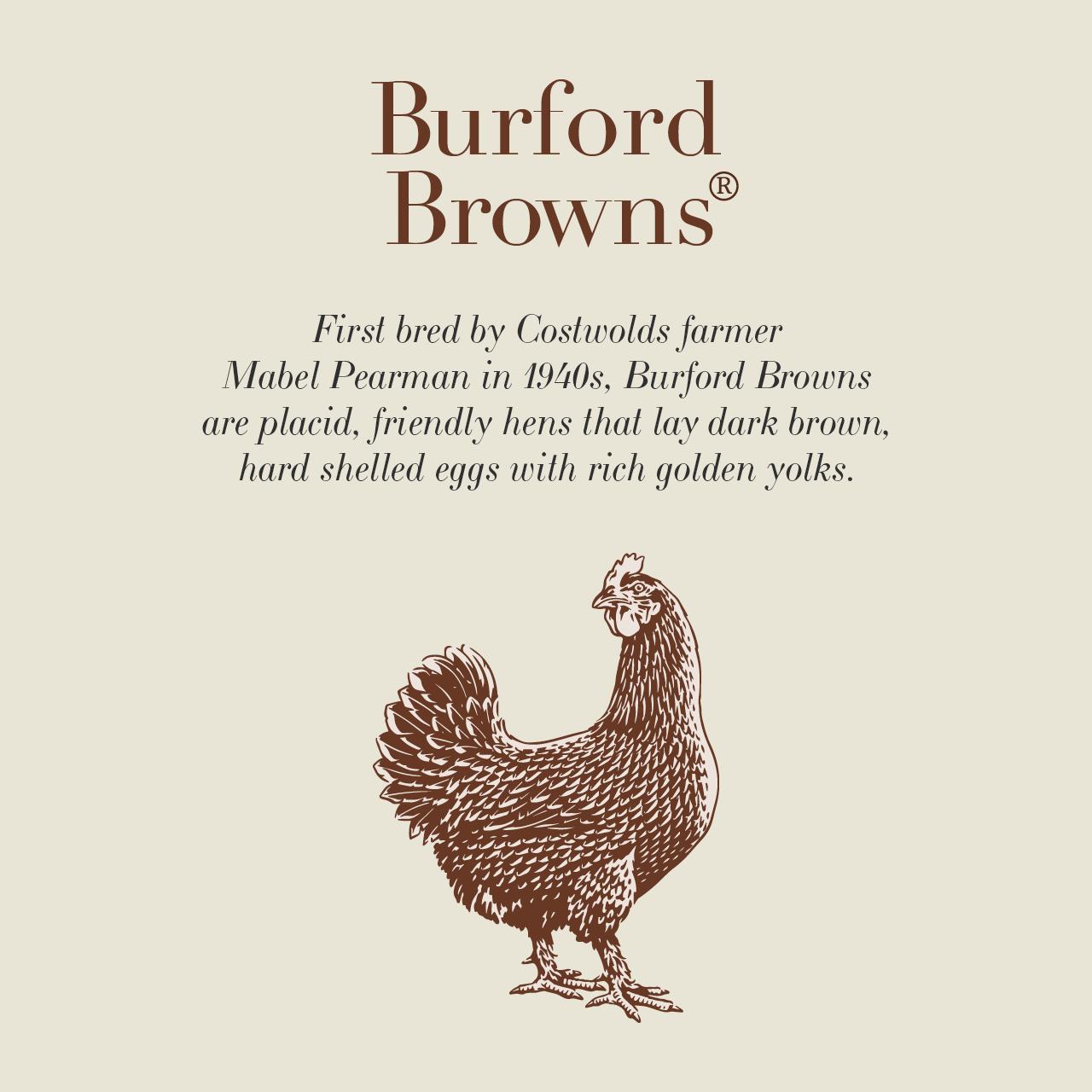 Clarence Court Mabel Pearman's Burford Browns Free Range Eggs with Deep Brown Coloured Shells x10 thumbnail 2