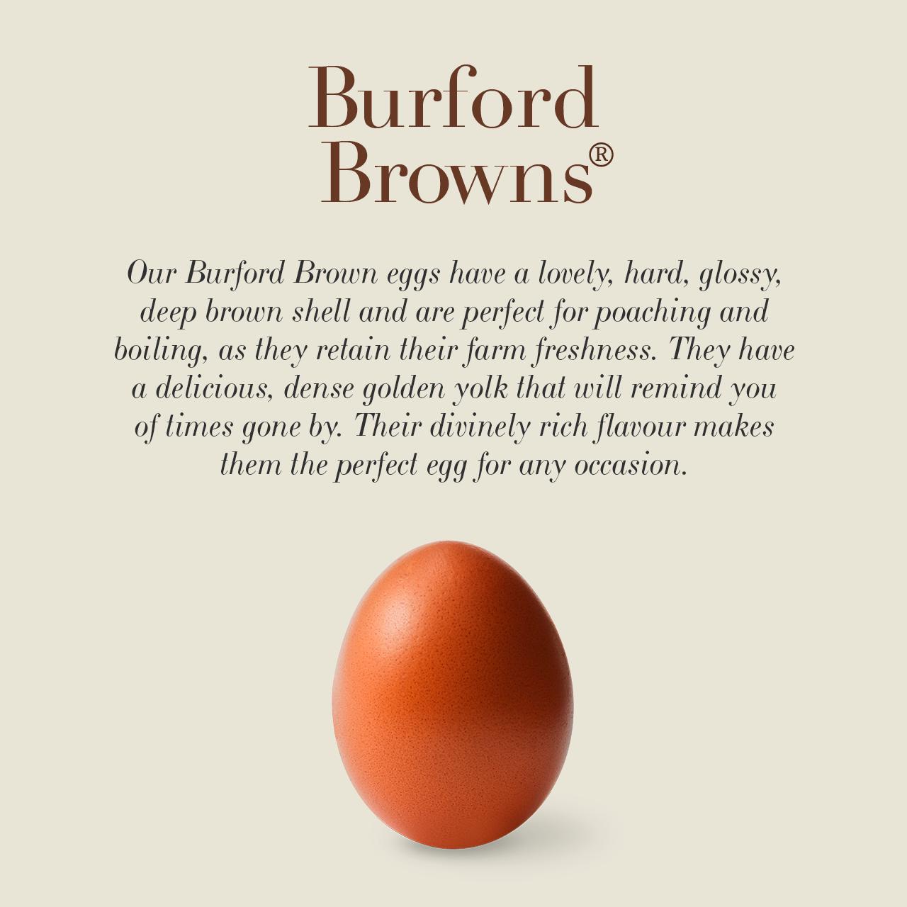 Clarence Court Mabel Pearman's Burford Browns Free Range Eggs with Deep Brown Coloured Shells x10 thumbnail 3
