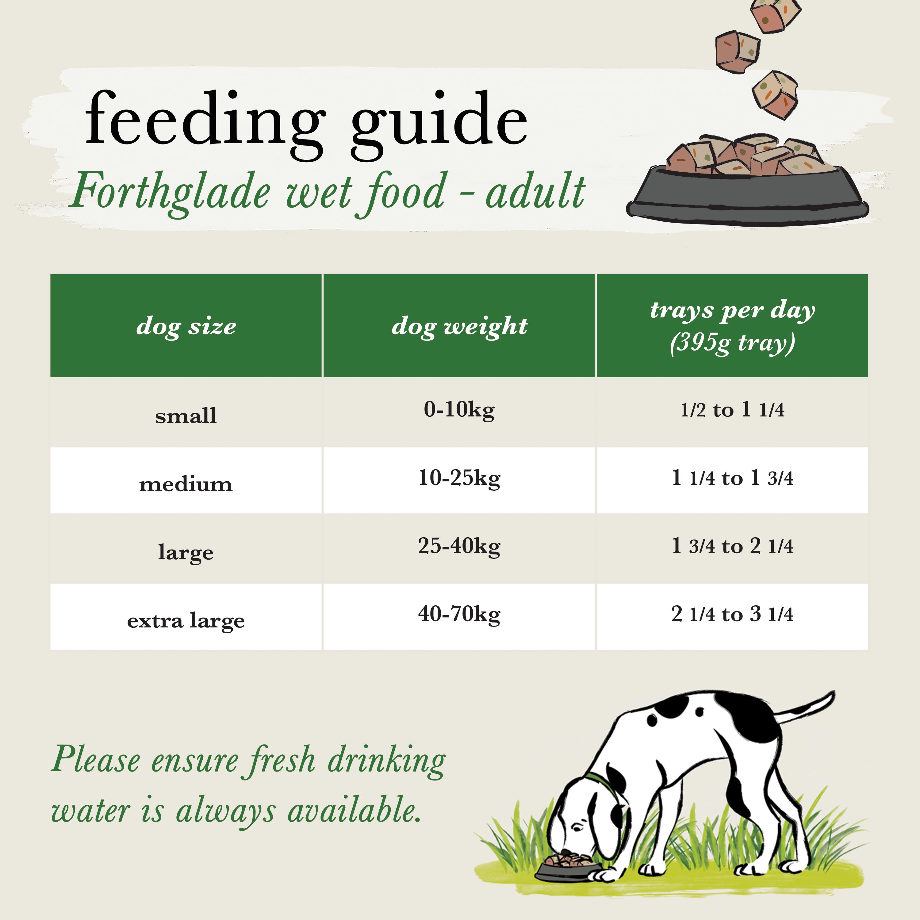 Forthglade Adult Dog Food 1 Year+ Lamb with Butternut Squash & Vegetables Complete Meal 395g thumbnail 5