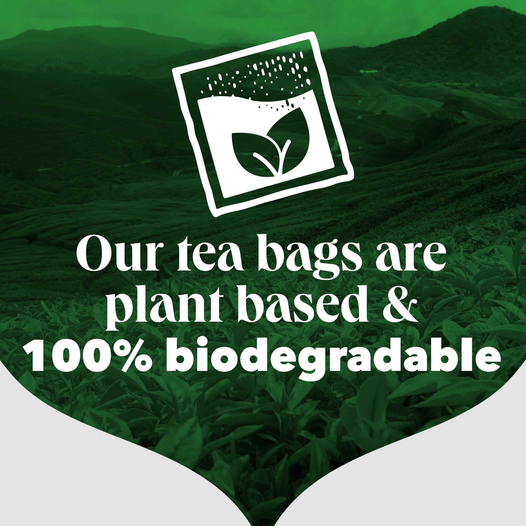 PG Tips Decaf Black Decaffeinated Tea Bags x70 thumbnail 3