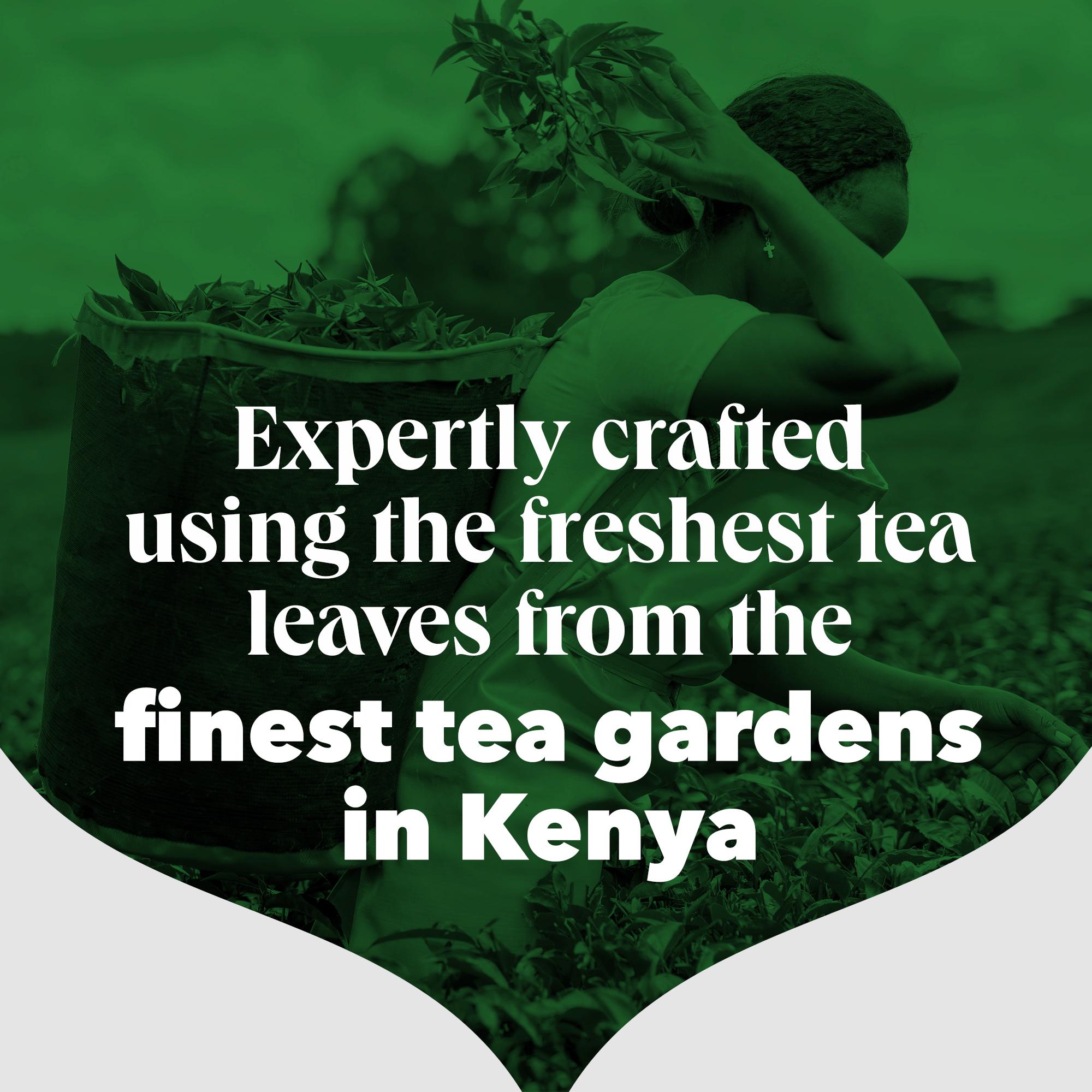 PG Tips Decaf Black Decaffeinated Tea Bags x70 thumbnail 4