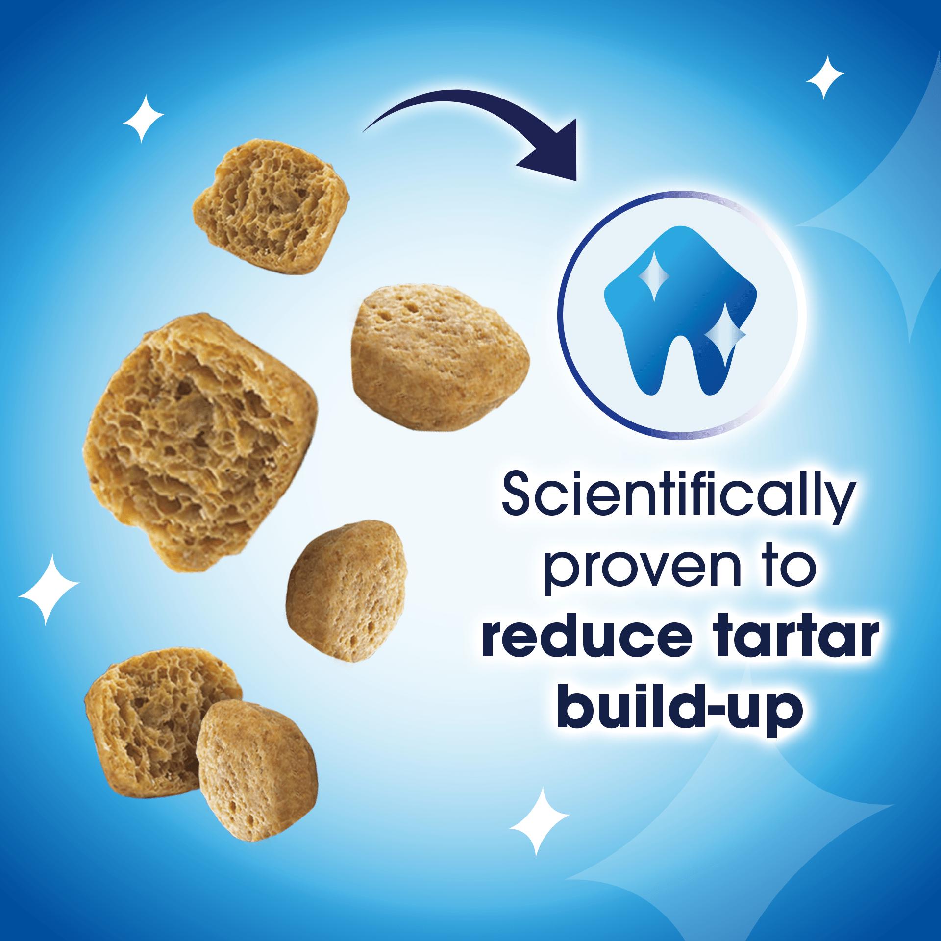 Dentalife Dental Chicken Cat Treats 40g thumbnail 3