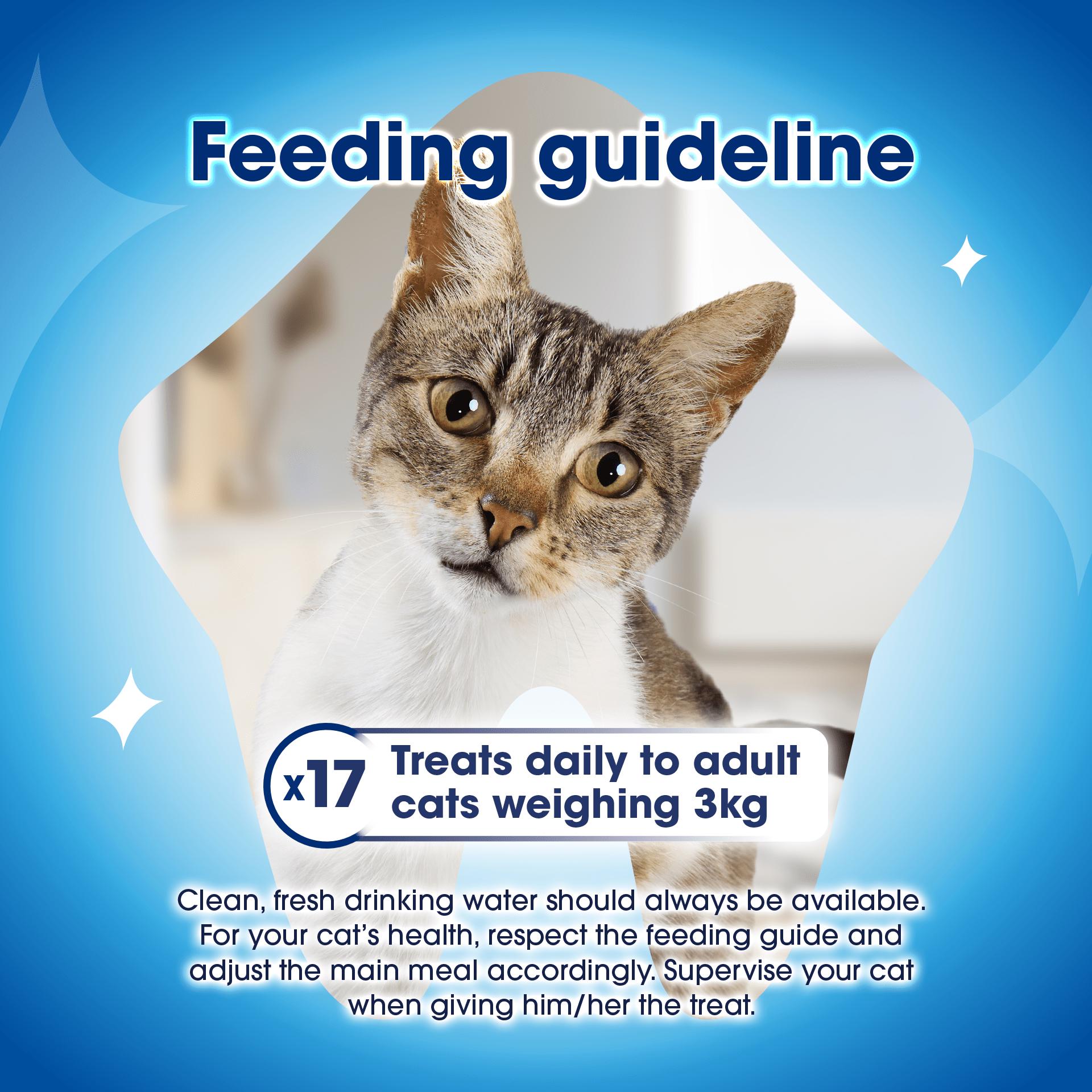 Dentalife Dental Chicken Cat Treats 40g thumbnail 5