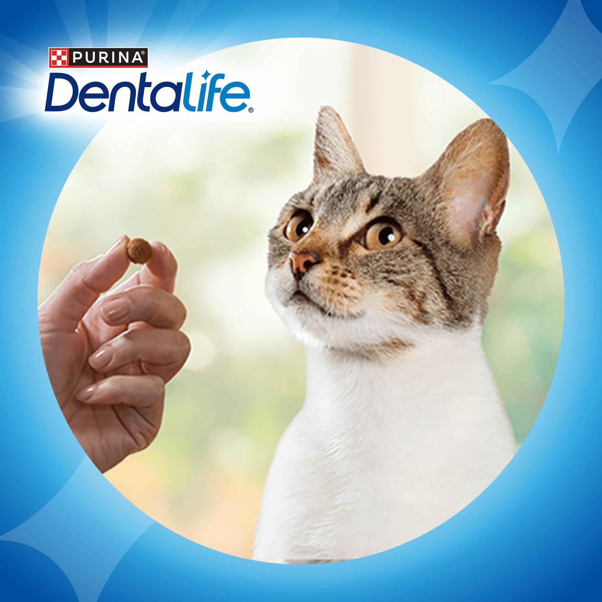 Dentalife Dental Chicken Cat Treats 40g thumbnail 6