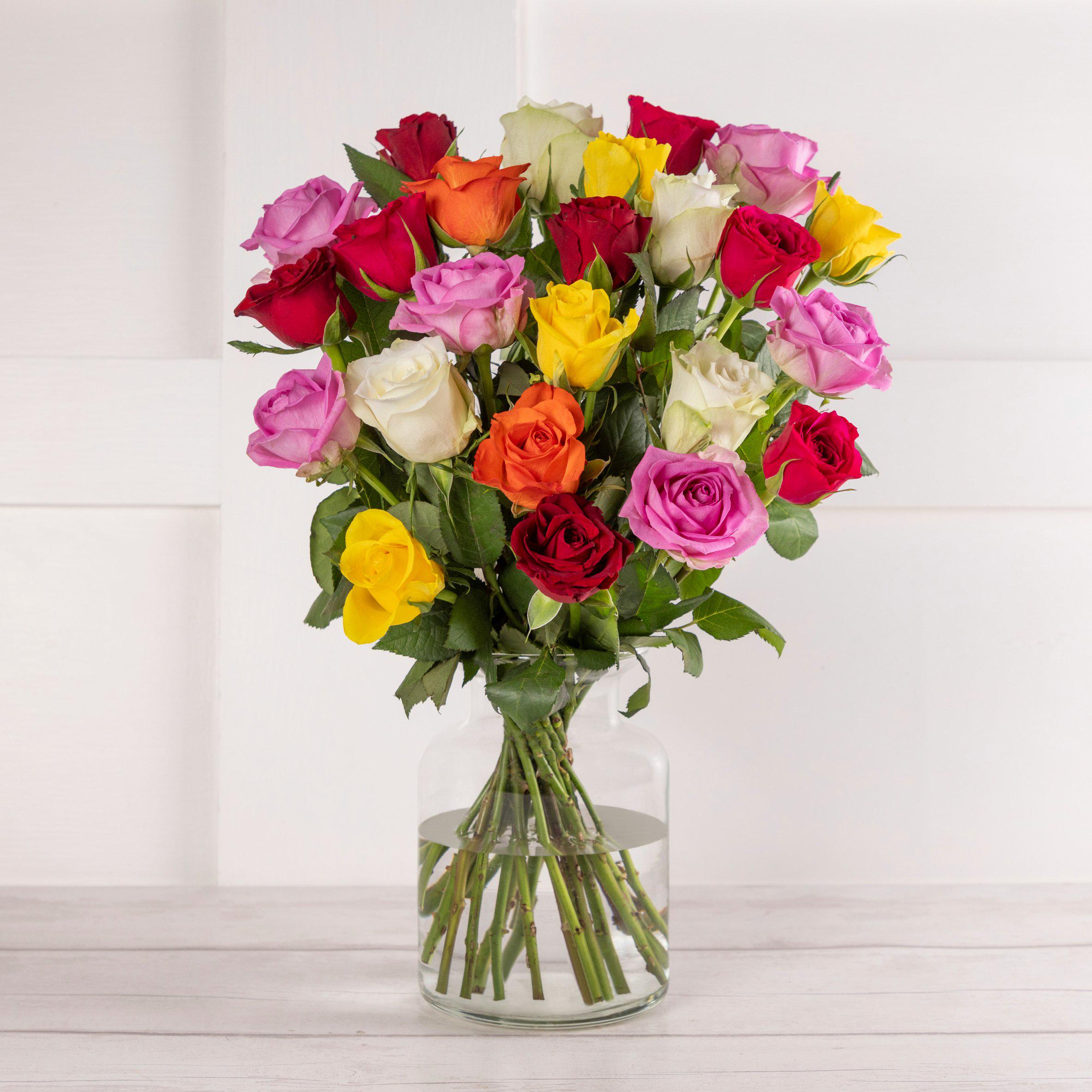 Rainbow Roses